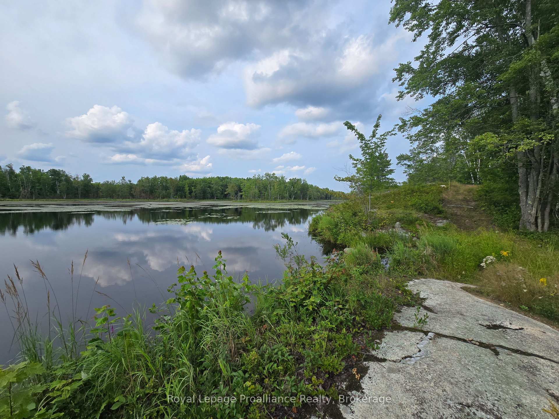 Photo 5 of 1446 Flinton Road, Tweed, Elzevir (Twp) — HOMEH