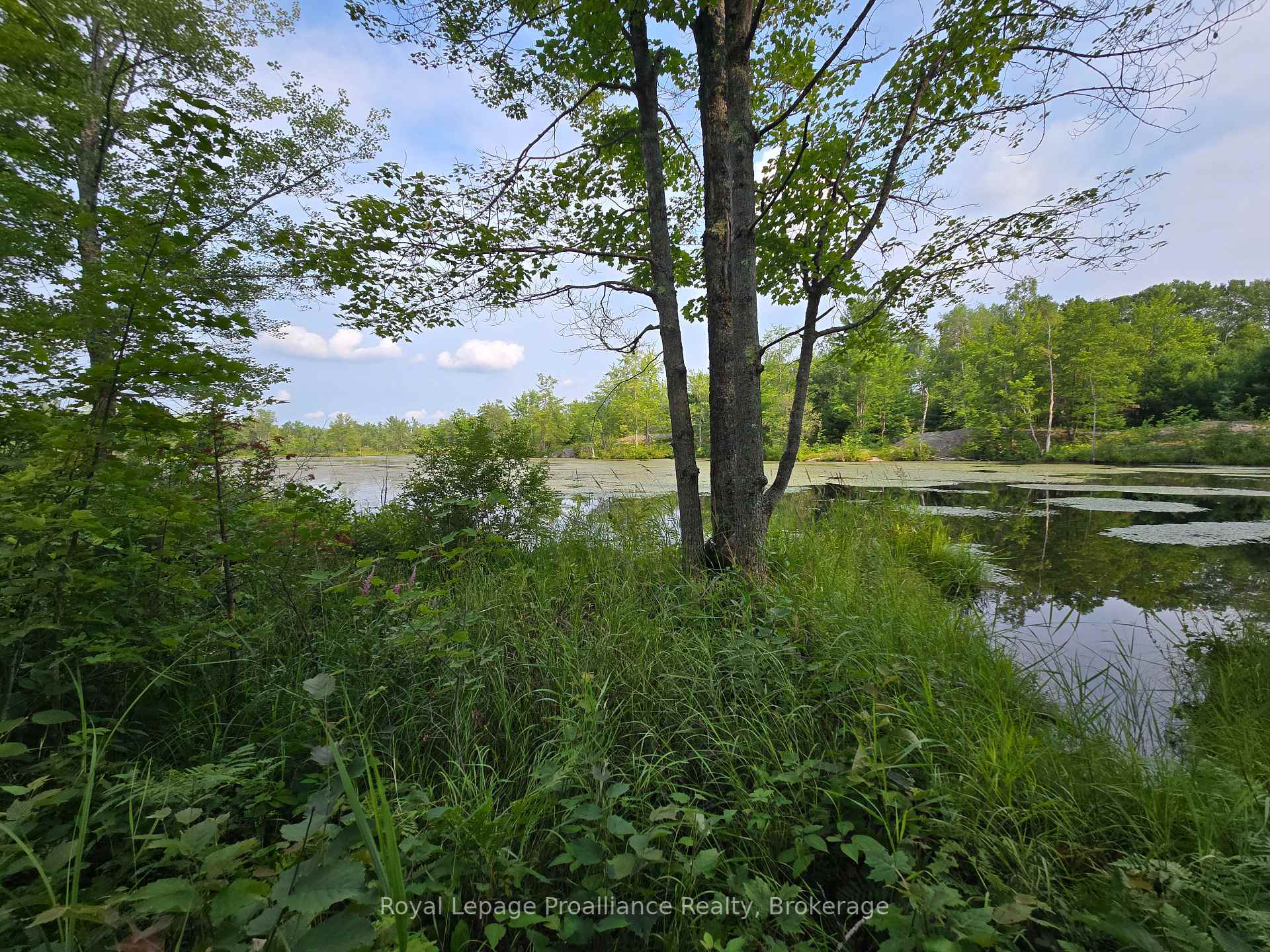 Photo 7 of 1446 Flinton Road, Tweed, Elzevir (Twp) — HOMEH