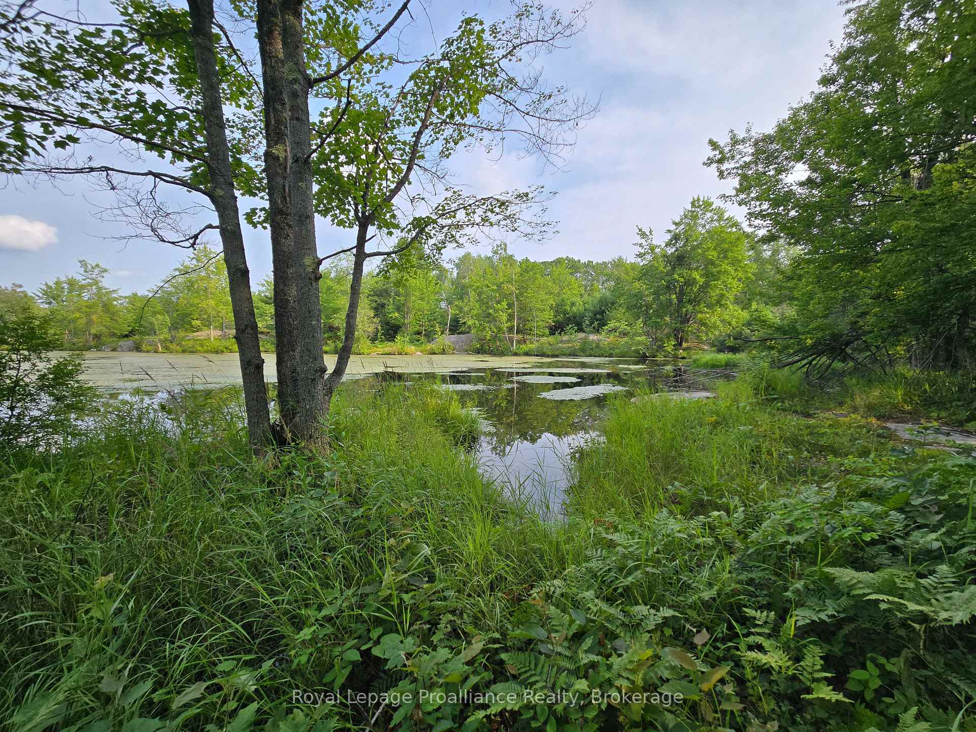 Photo 8 of 1446 Flinton Road, Tweed, Elzevir (Twp) — HOMEH