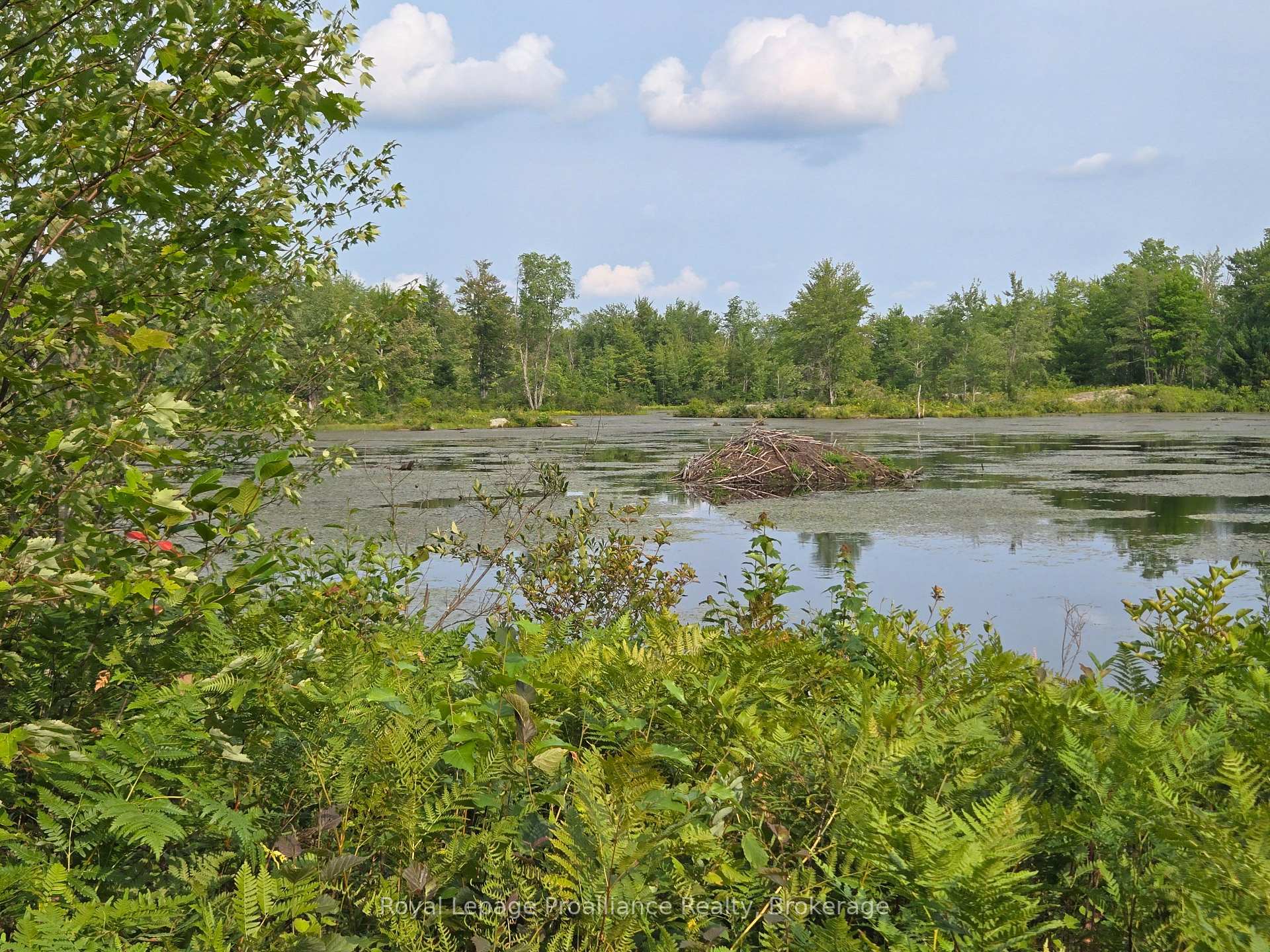 Photo 10 of 1446 Flinton Road, Tweed, Elzevir (Twp) — HOMEH