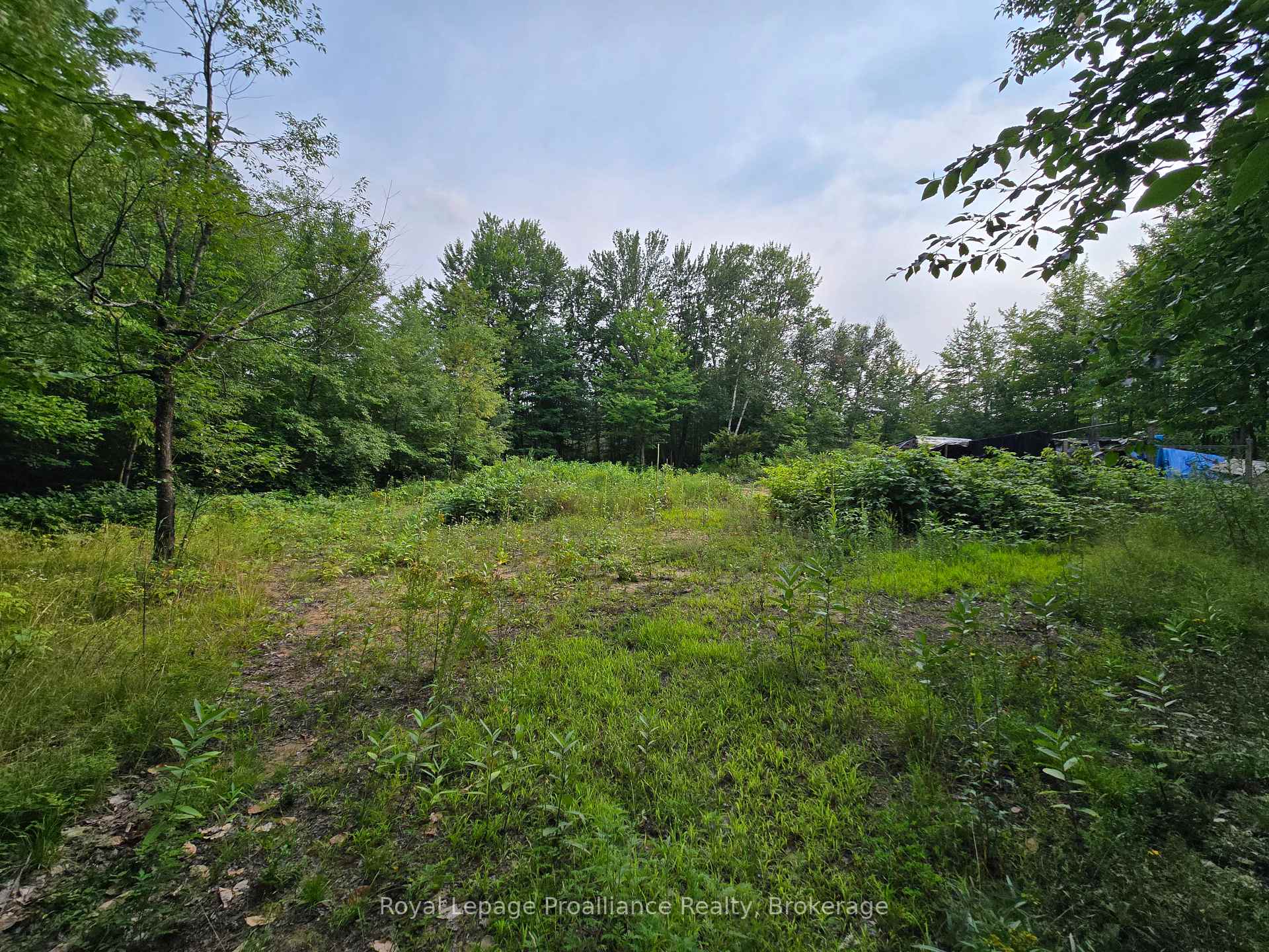 Photo 12 of 1446 Flinton Road, Tweed, Elzevir (Twp) — HOMEH