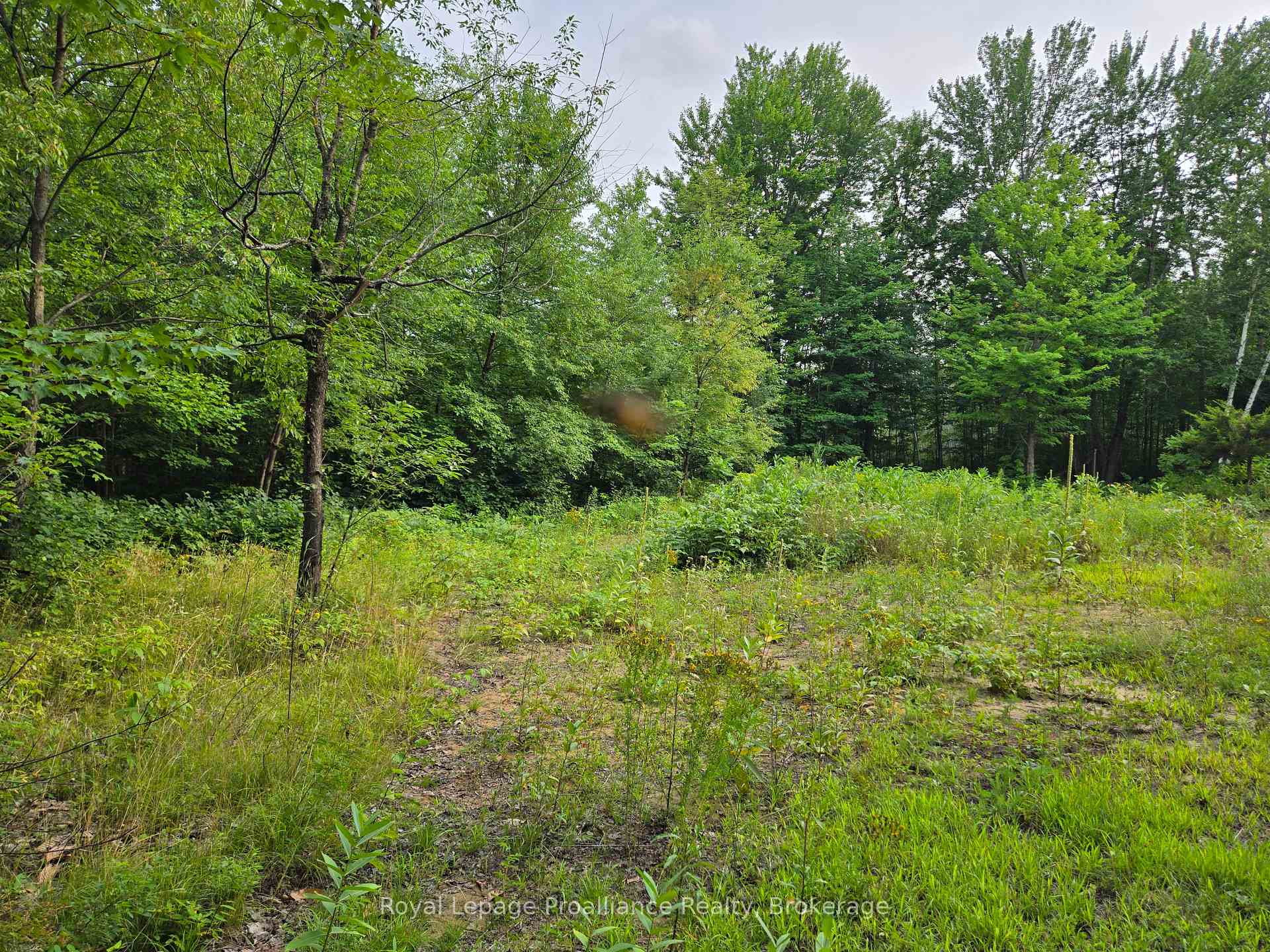 Photo 13 of 1446 Flinton Road, Tweed, Elzevir (Twp) — HOMEH