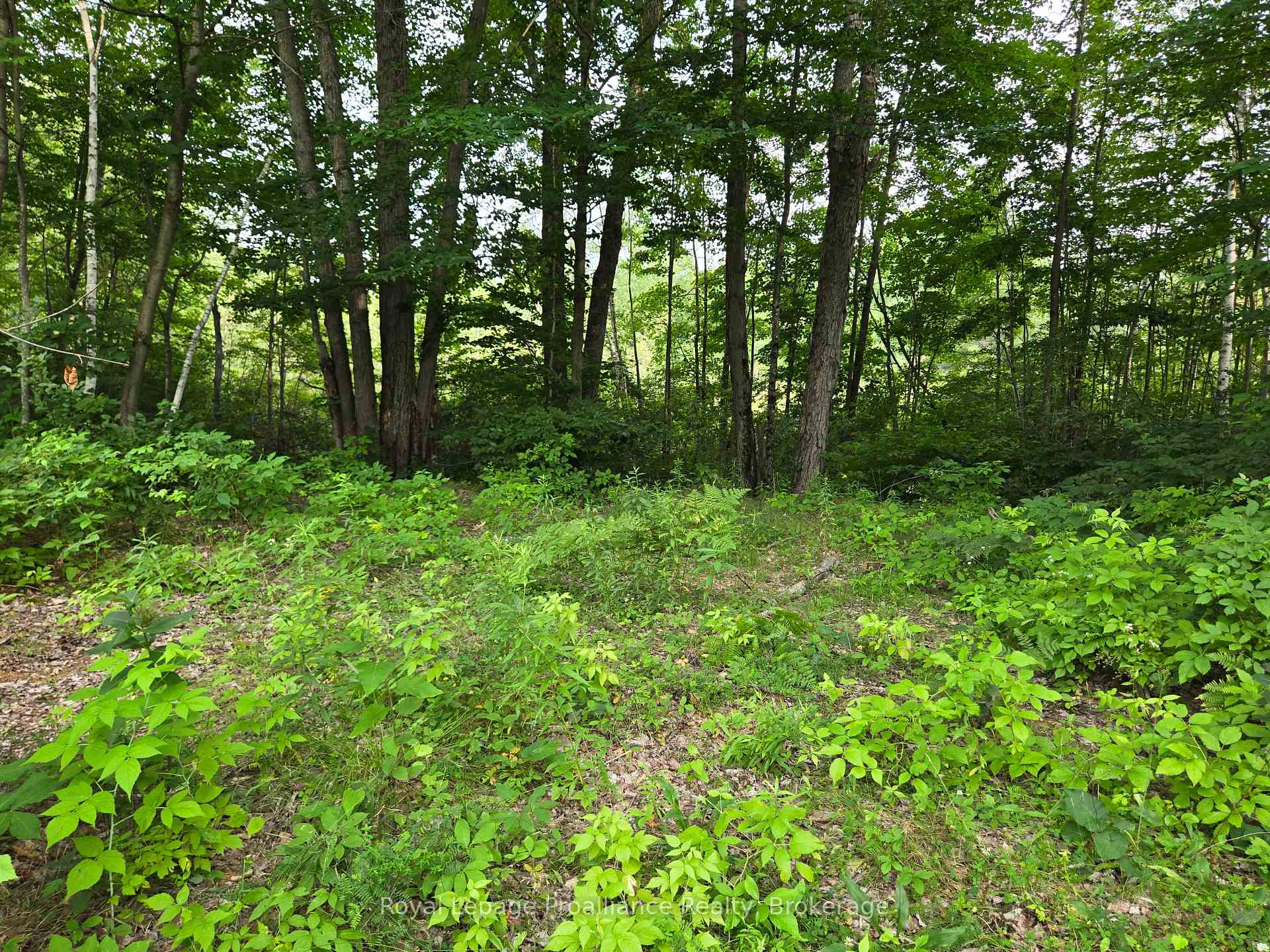 Photo 14 of 1446 Flinton Road, Tweed, Elzevir (Twp) — HOMEH
