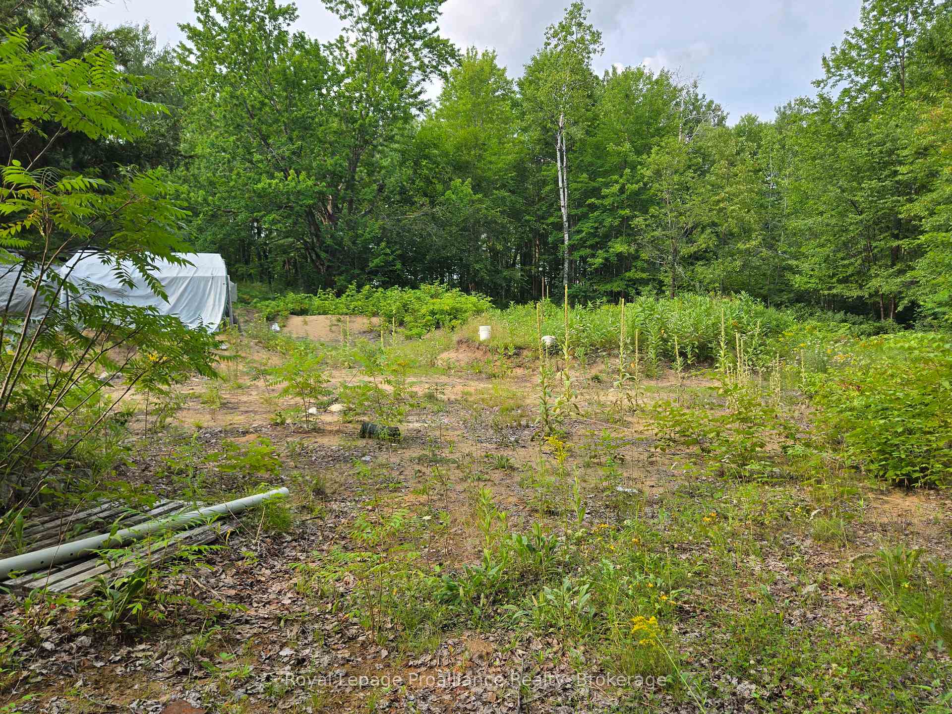 Photo 15 of 1446 Flinton Road, Tweed, Elzevir (Twp) — HOMEH