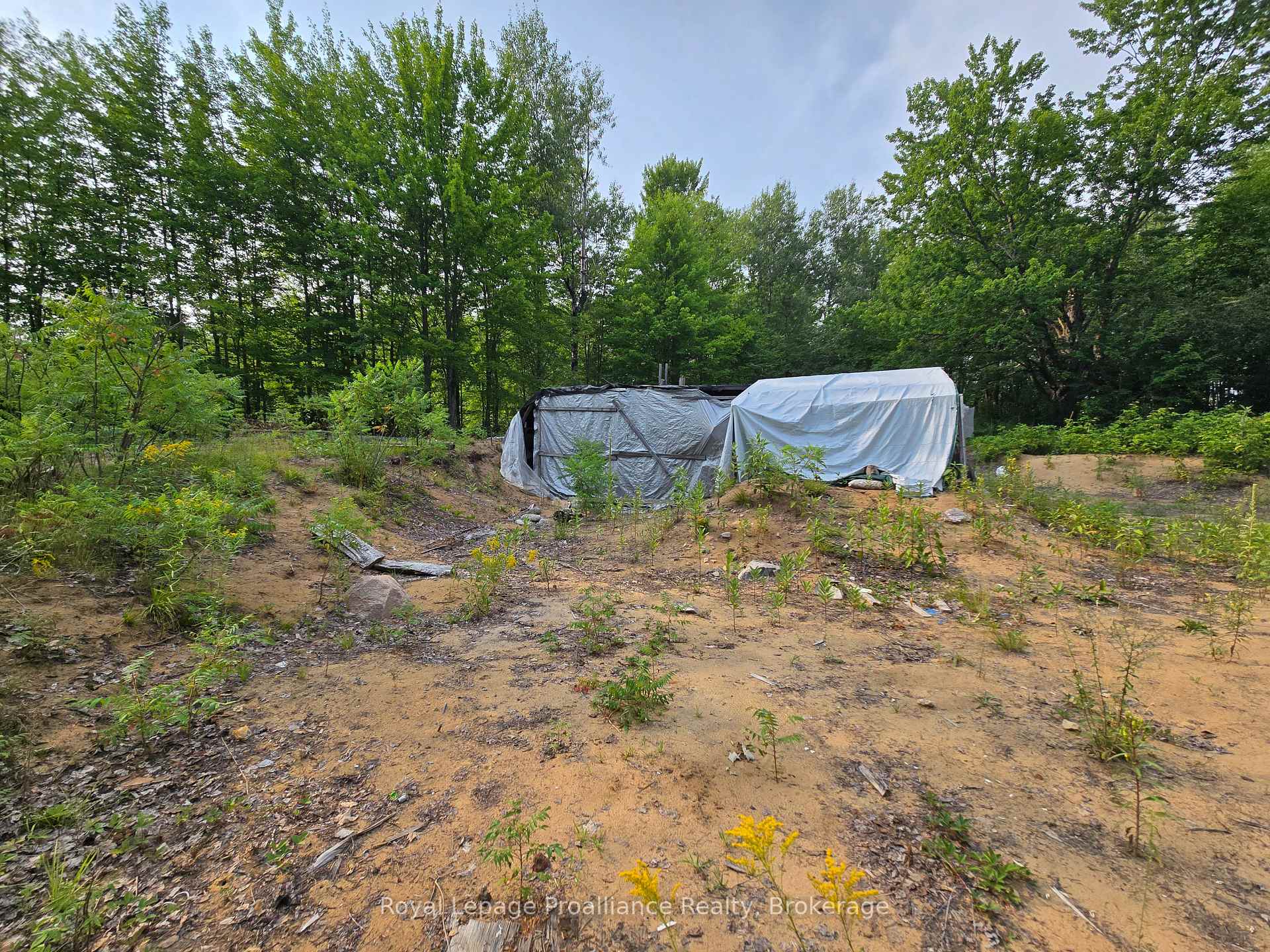 Photo 17 of 1446 Flinton Road, Tweed, Elzevir (Twp) — HOMEH