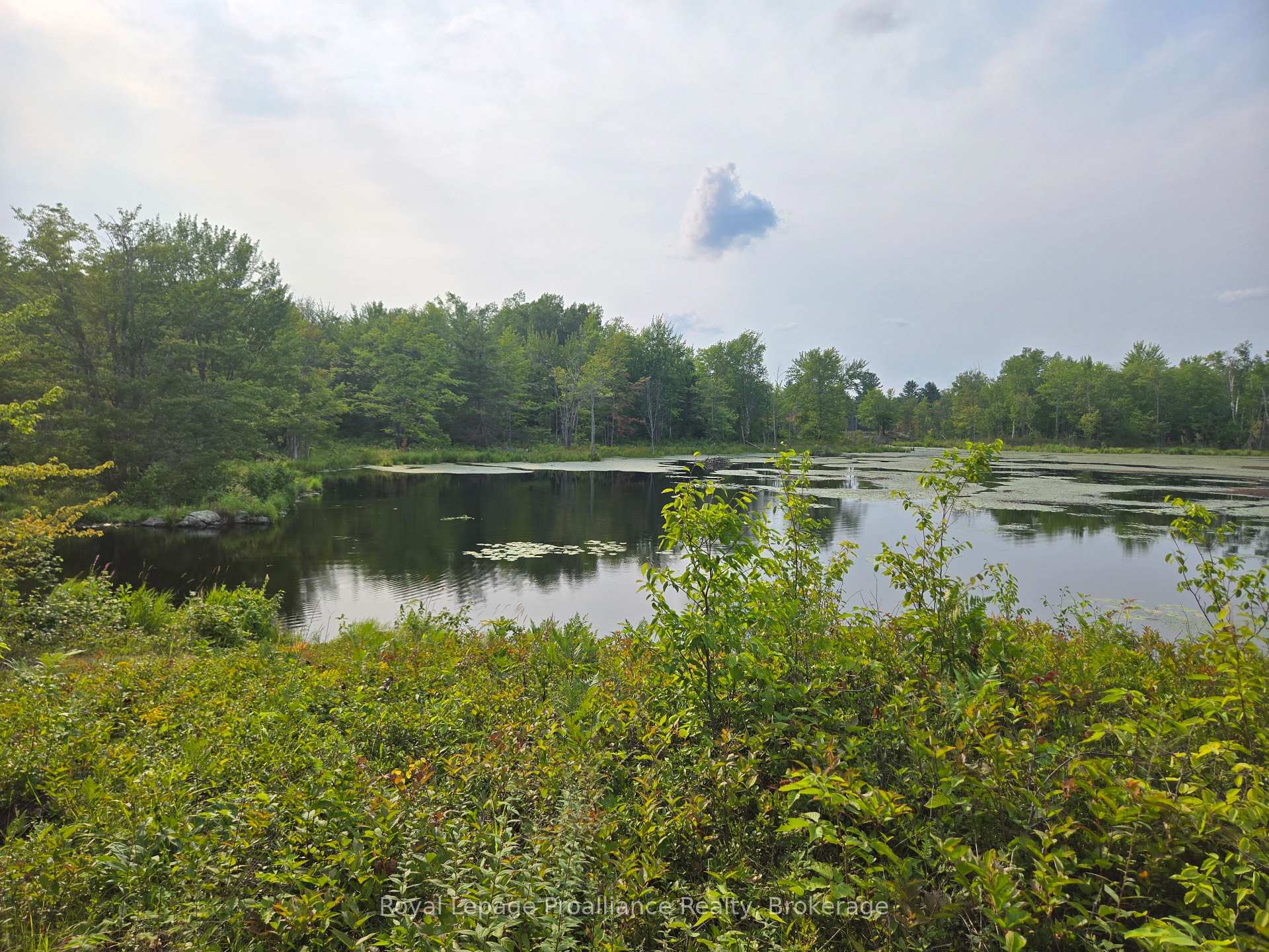 Photo 18 of 1446 Flinton Road, Tweed, Elzevir (Twp) — HOMEH