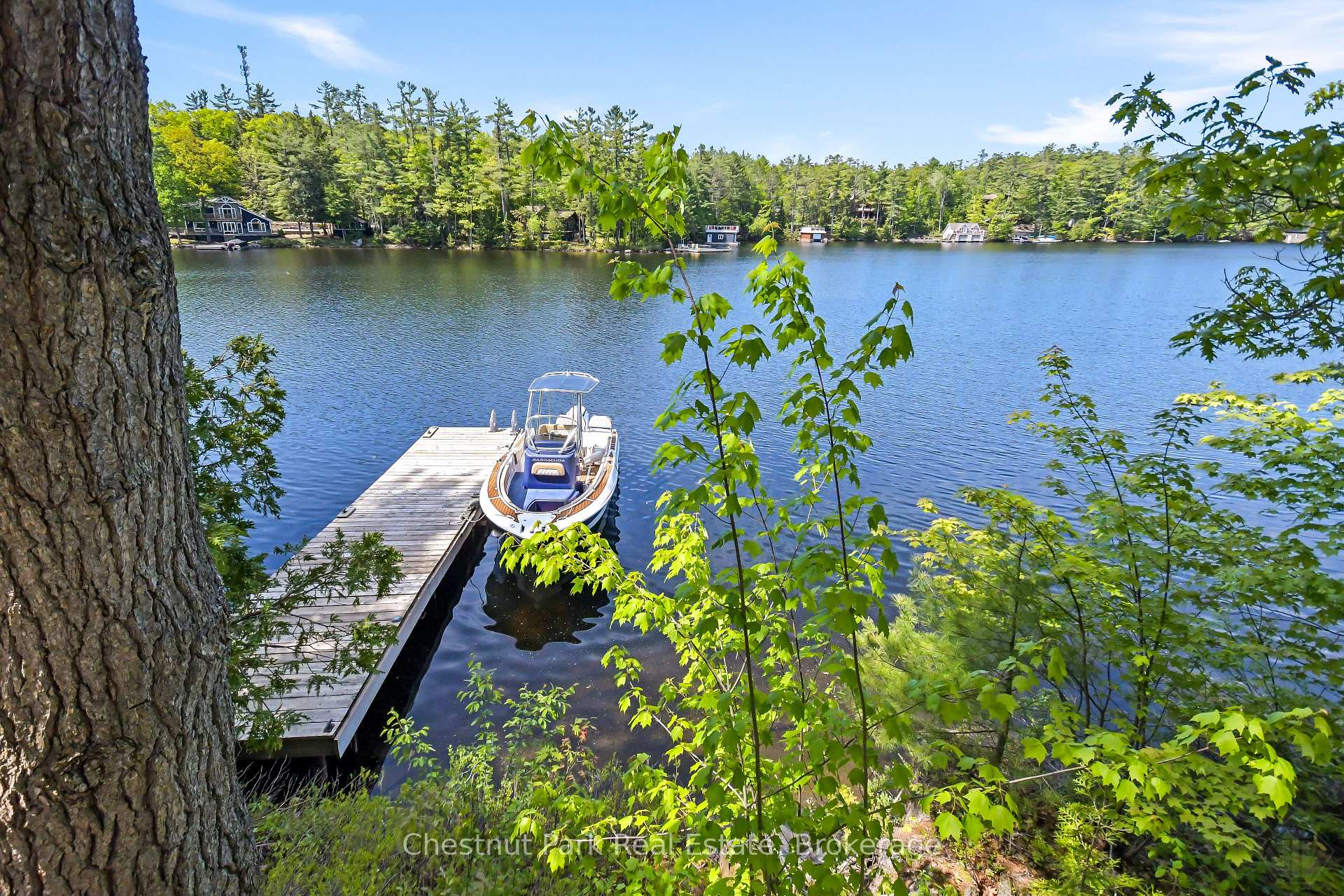 Photo 34 of 85 Taylor Island, Gravenhurst, Muskoka (S) — HOMEH