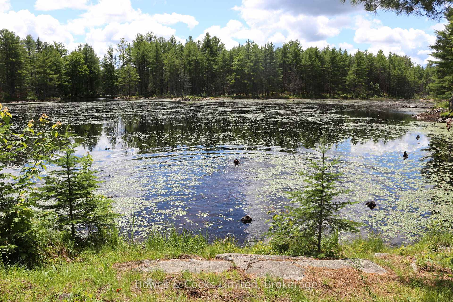 Photo 35 of 1849 Bordenwood Road, Frontenac, Frontenac Centre — HOMEH