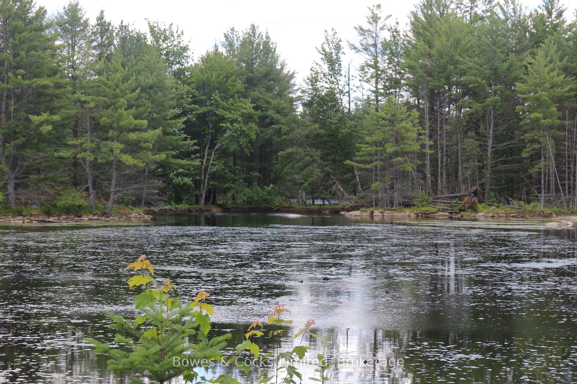 Photo 38 of 1849 Bordenwood Road, Frontenac, Frontenac Centre — HOMEH