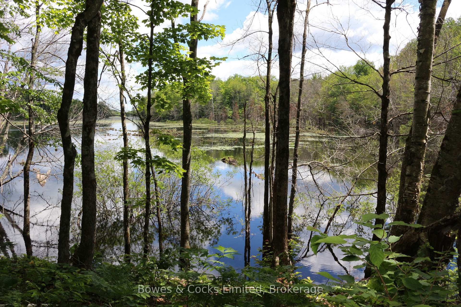 Photo 40 of 1849 Bordenwood Road, Frontenac, Frontenac Centre — HOMEH