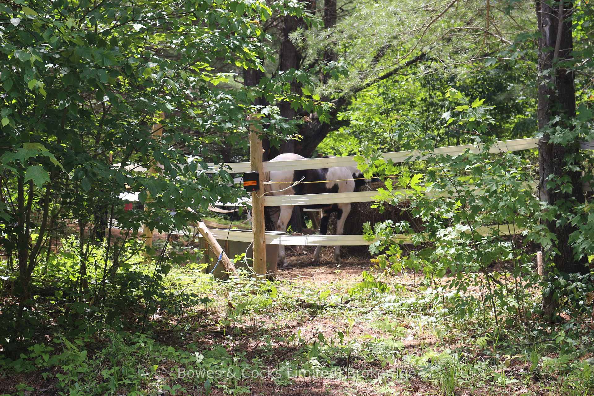Photo 47 of 1849 Bordenwood Road, Frontenac, Frontenac Centre — HOMEH