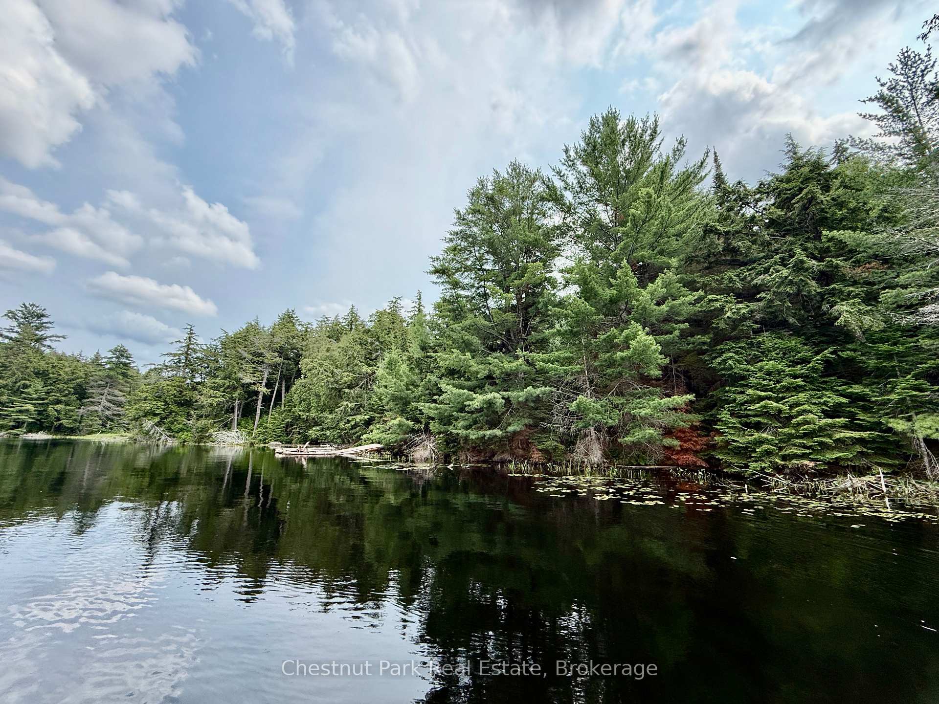 Photo 13 of 50 Cache Lake APL1322, South Algonquin — HOMEH
