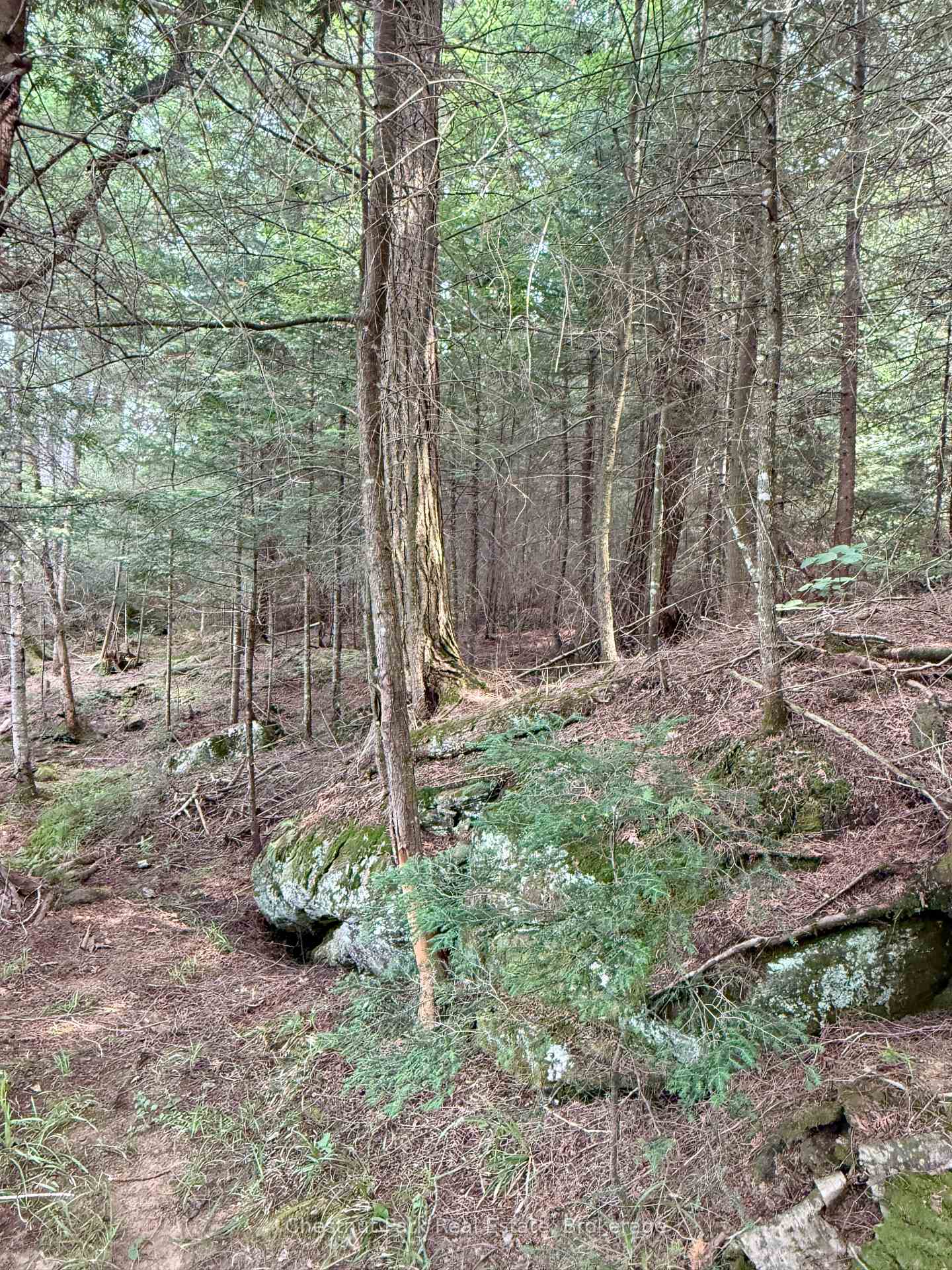Photo 49 of 50 Cache Lake APL1322, South Algonquin — HOMEH