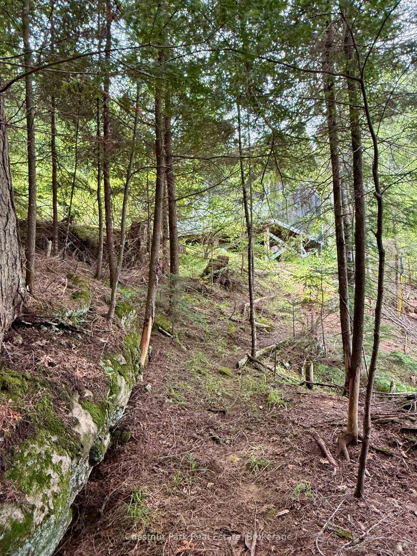 Photo 61 of 50 Cache Lake APL1322, South Algonquin — HOMEH