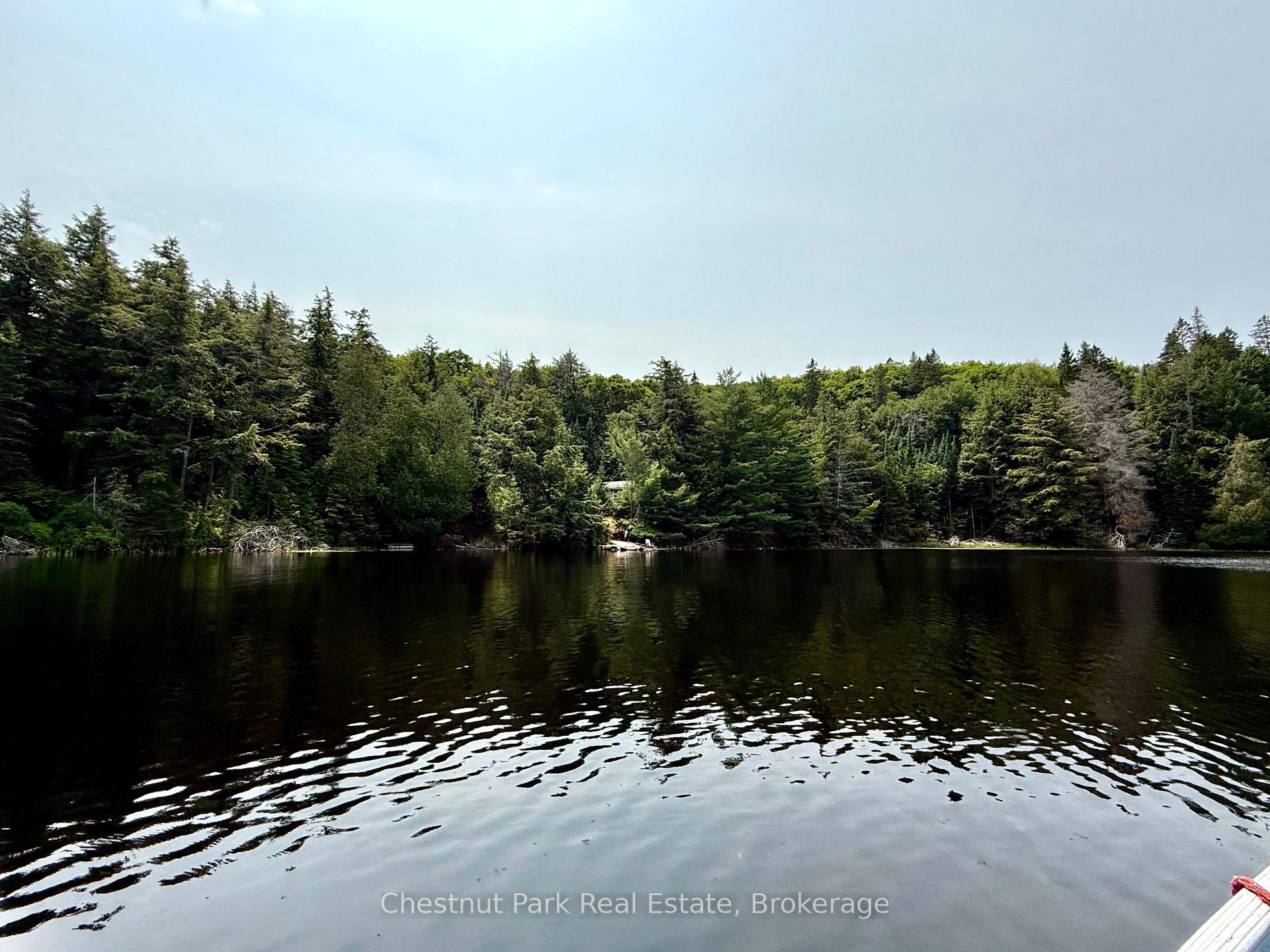 Photo 63 of 50 Cache Lake APL1322, South Algonquin — HOMEH