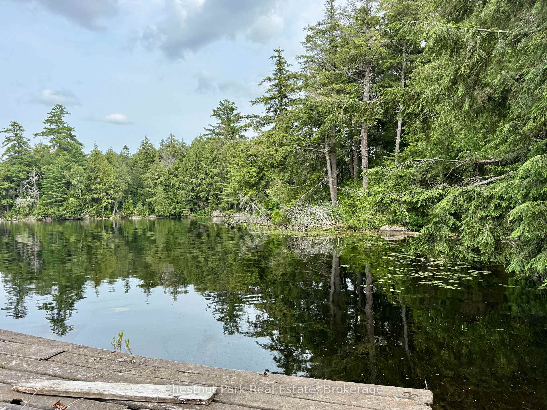 Photo 66 of 50 Cache Lake APL1322, South Algonquin — HOMEH