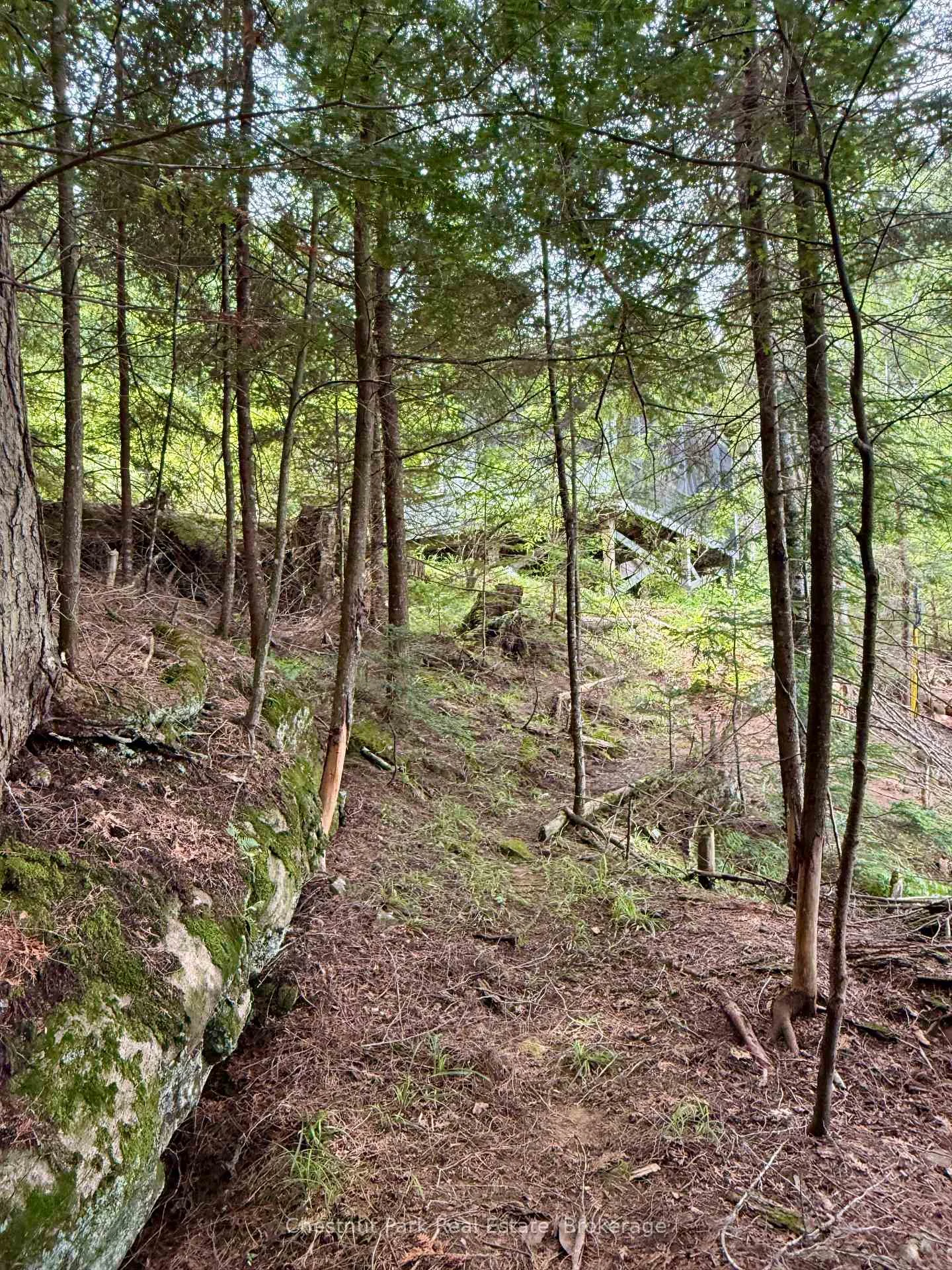 Photo 45 of 50 Cache Lake APL1322, South Algonquin — HOMEH