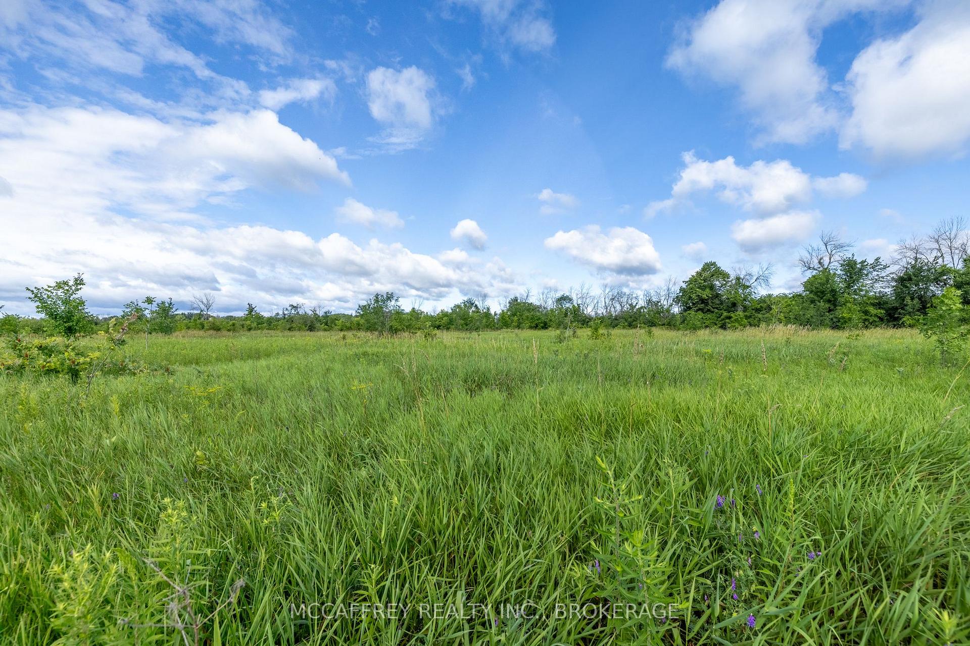 Photo 8 of 00 County Rd 8, Greater Napanee, Greater Napanee — HOMEH