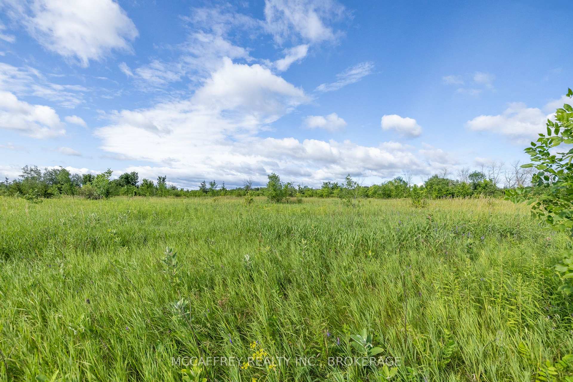 Photo 10 of 00 County Rd 8, Greater Napanee, Greater Napanee — HOMEH