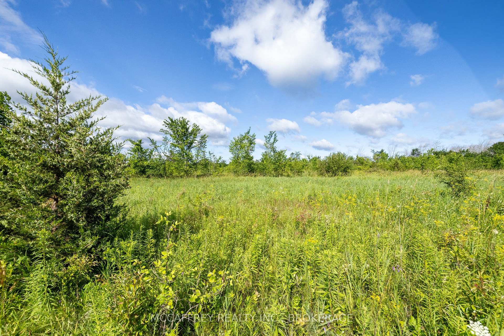 Photo 15 of 00 County Rd 8, Greater Napanee, Greater Napanee — HOMEH