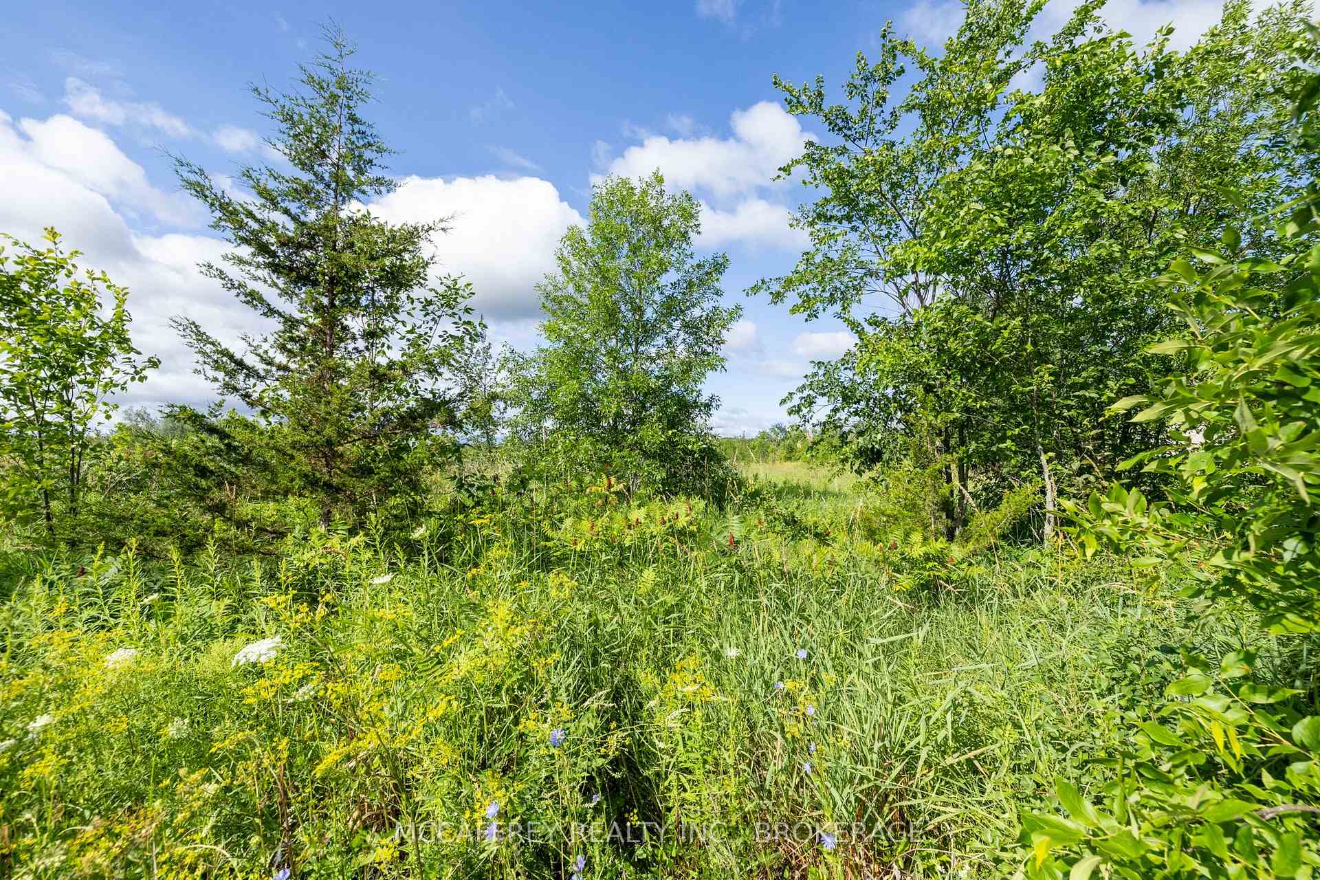 Photo 18 of 00 County Rd 8, Greater Napanee, Greater Napanee — HOMEH