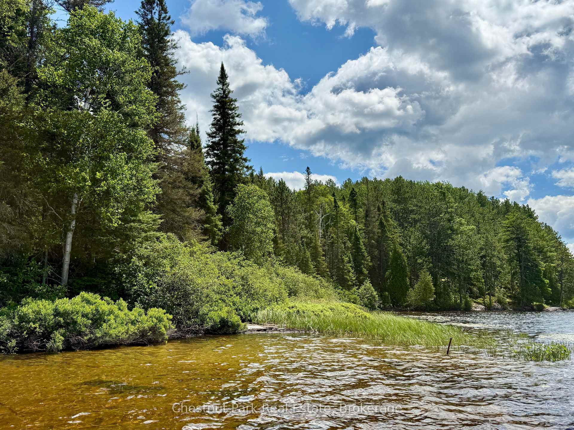 Photo 1 of 17 Whitefish Lake APL1582, Algonquin Highlands, Lawrence — HOMEH