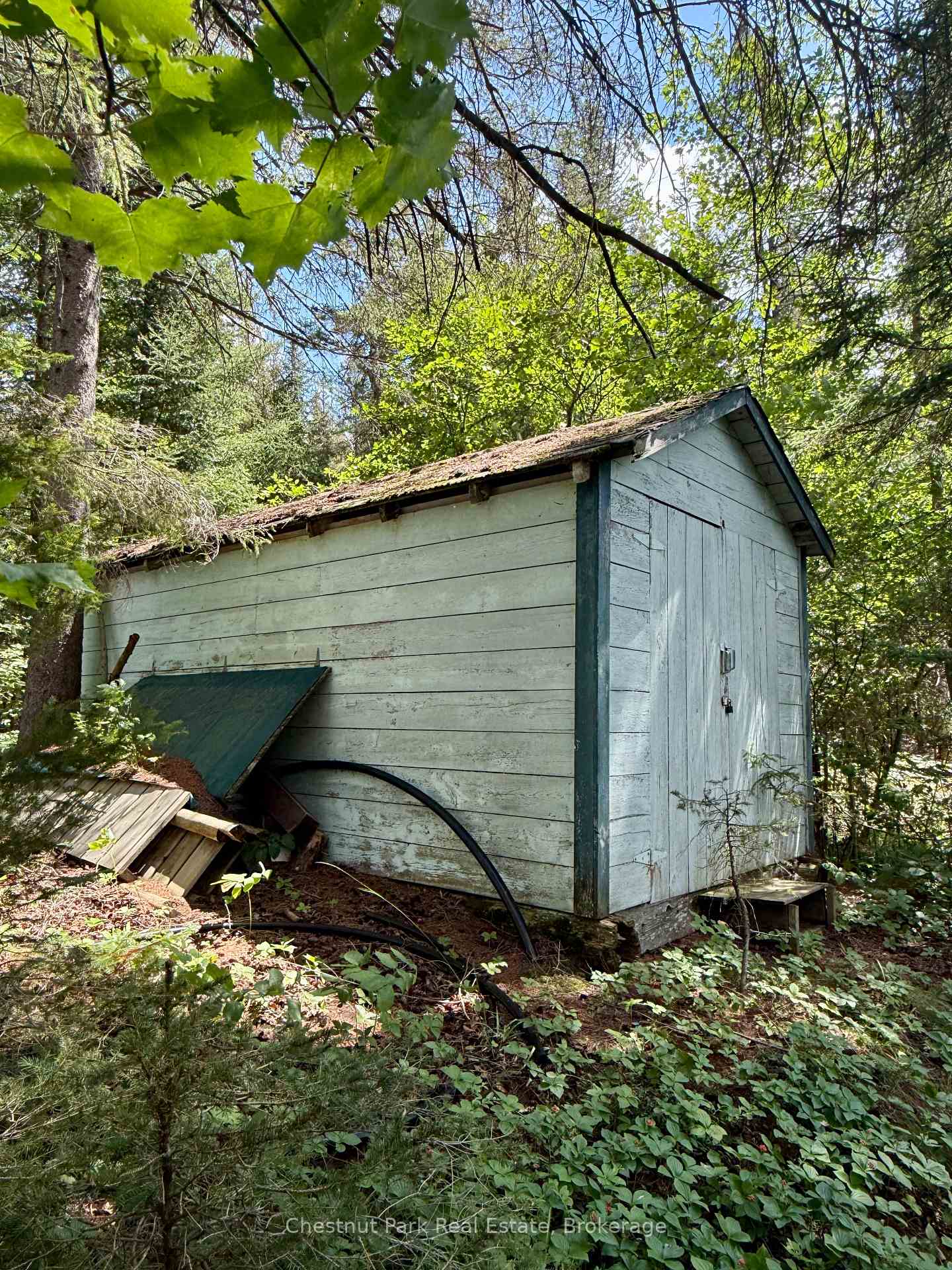 Photo 3 of 17 Whitefish Lake APL1582, Algonquin Highlands, Lawrence — HOMEH