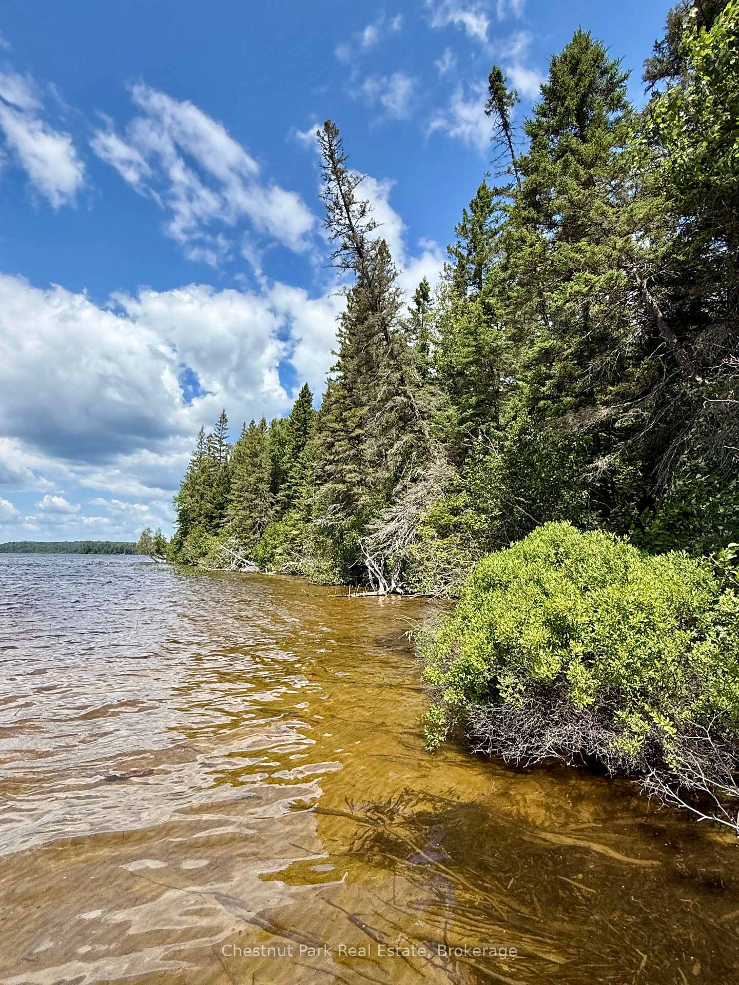 Photo 7 of 17 Whitefish Lake APL1582, Algonquin Highlands, Lawrence — HOMEH