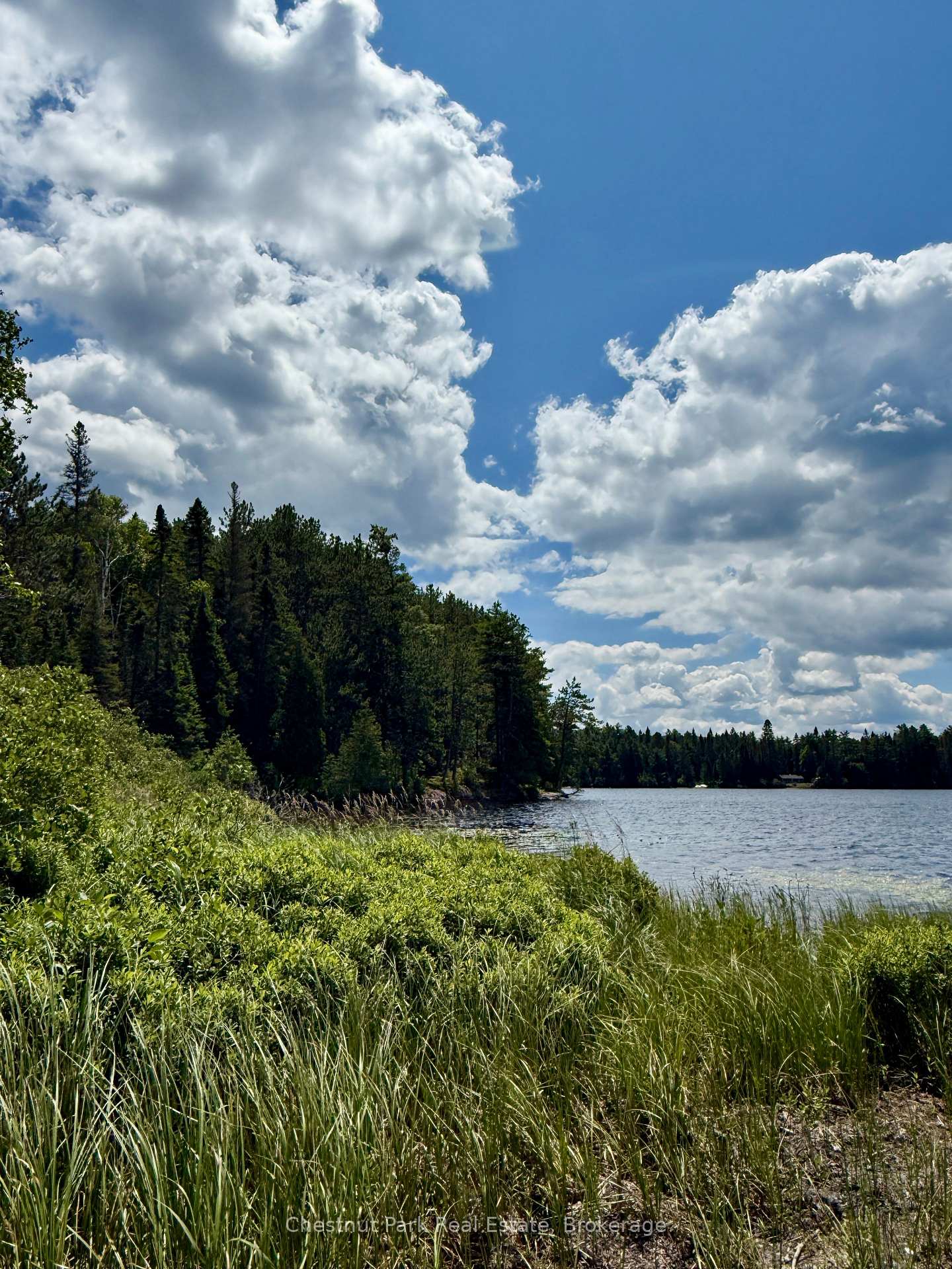 Photo 8 of 17 Whitefish Lake APL1582, Algonquin Highlands, Lawrence — HOMEH