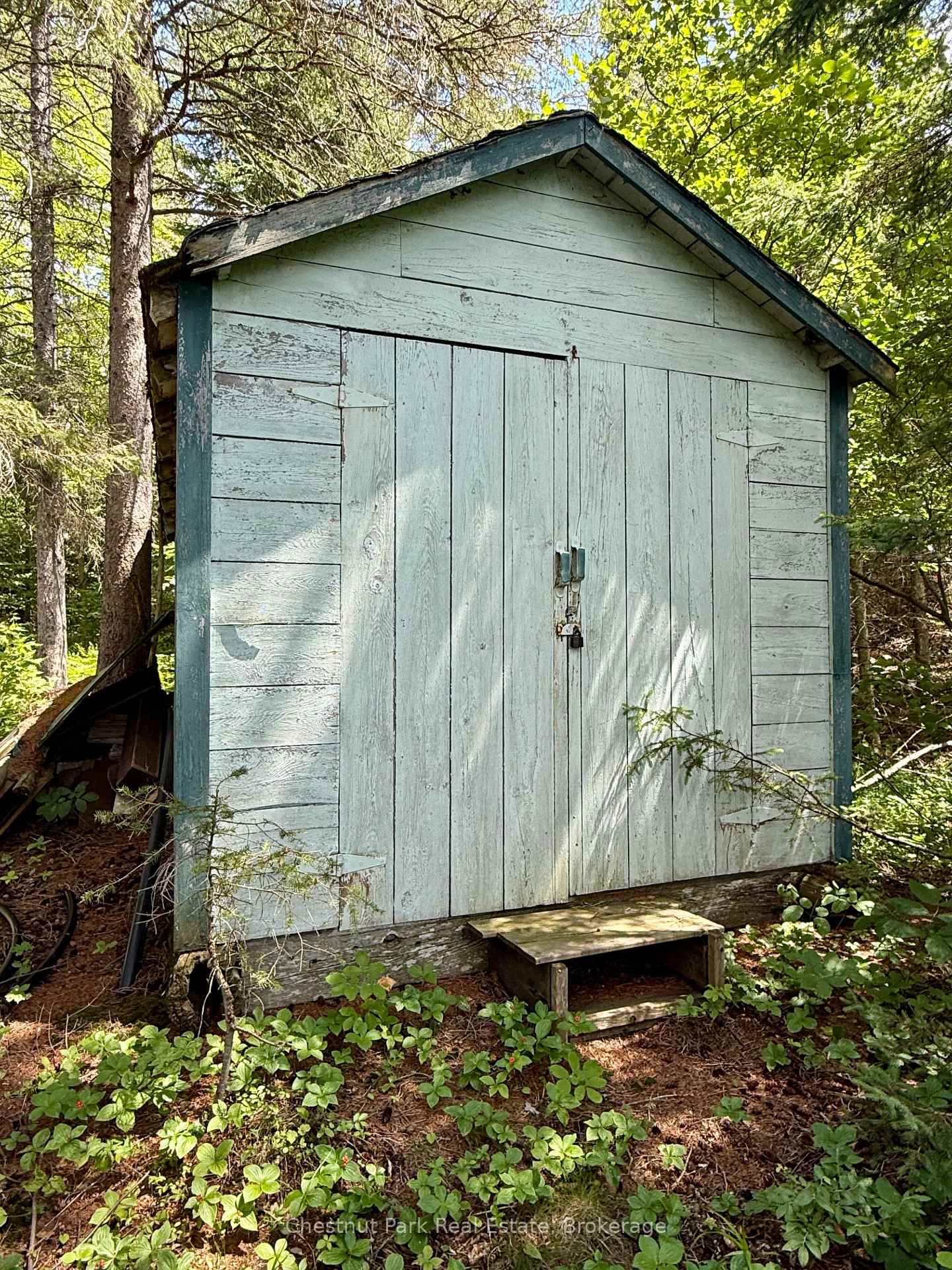 Photo 15 of 17 Whitefish Lake APL1582, Algonquin Highlands, Lawrence — HOMEH