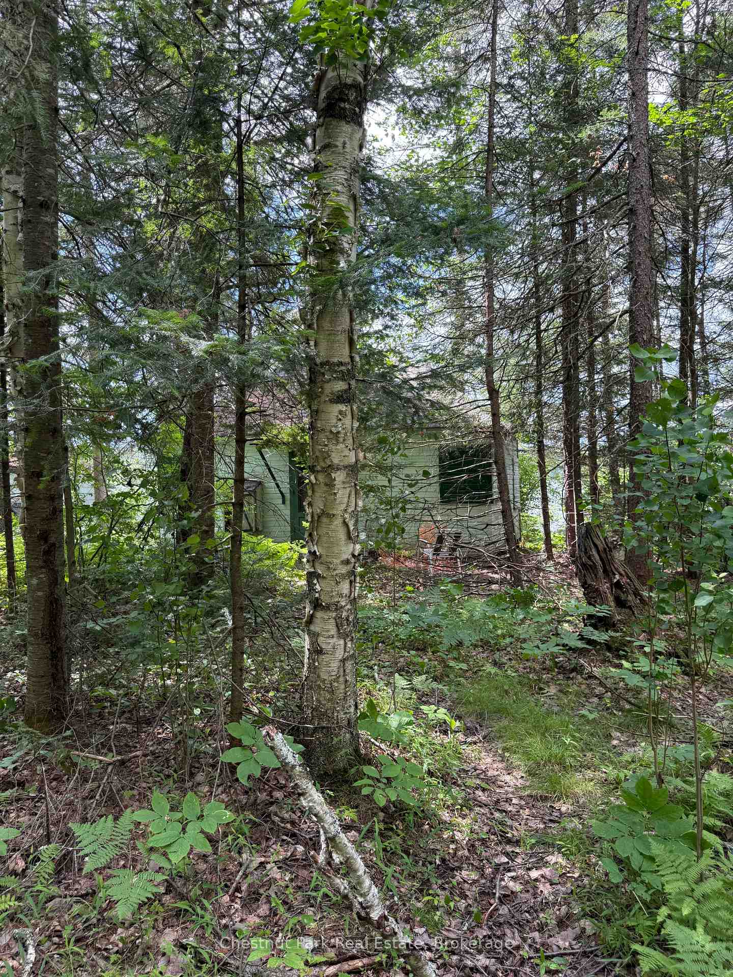 Photo 31 of 17 Whitefish Lake APL1582, Algonquin Highlands, Lawrence — HOMEH