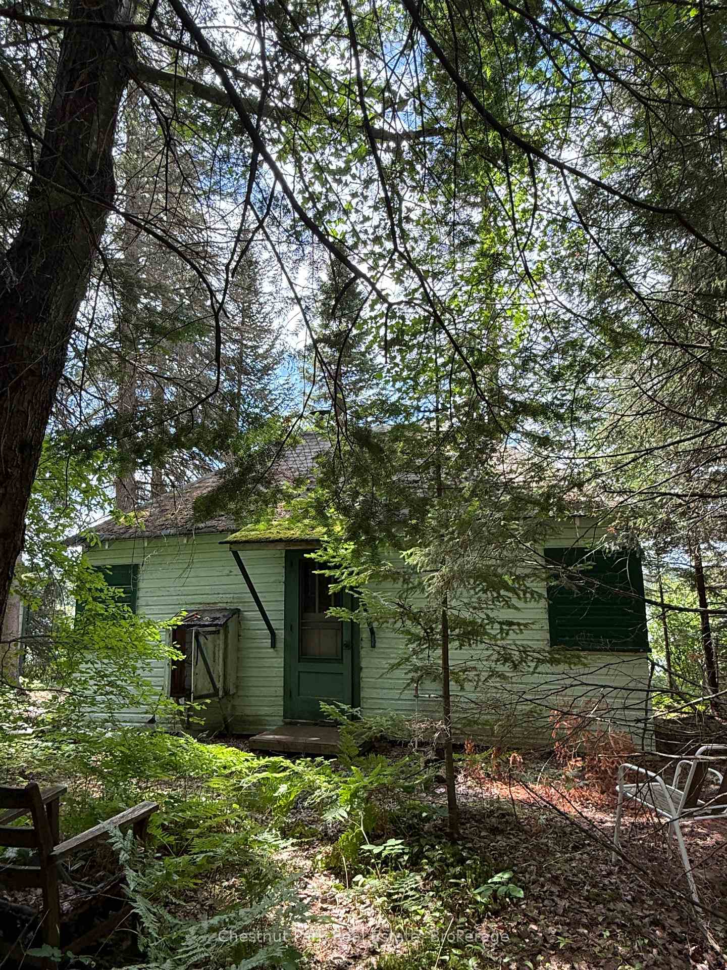 Photo 33 of 17 Whitefish Lake APL1582, Algonquin Highlands, Lawrence — HOMEH