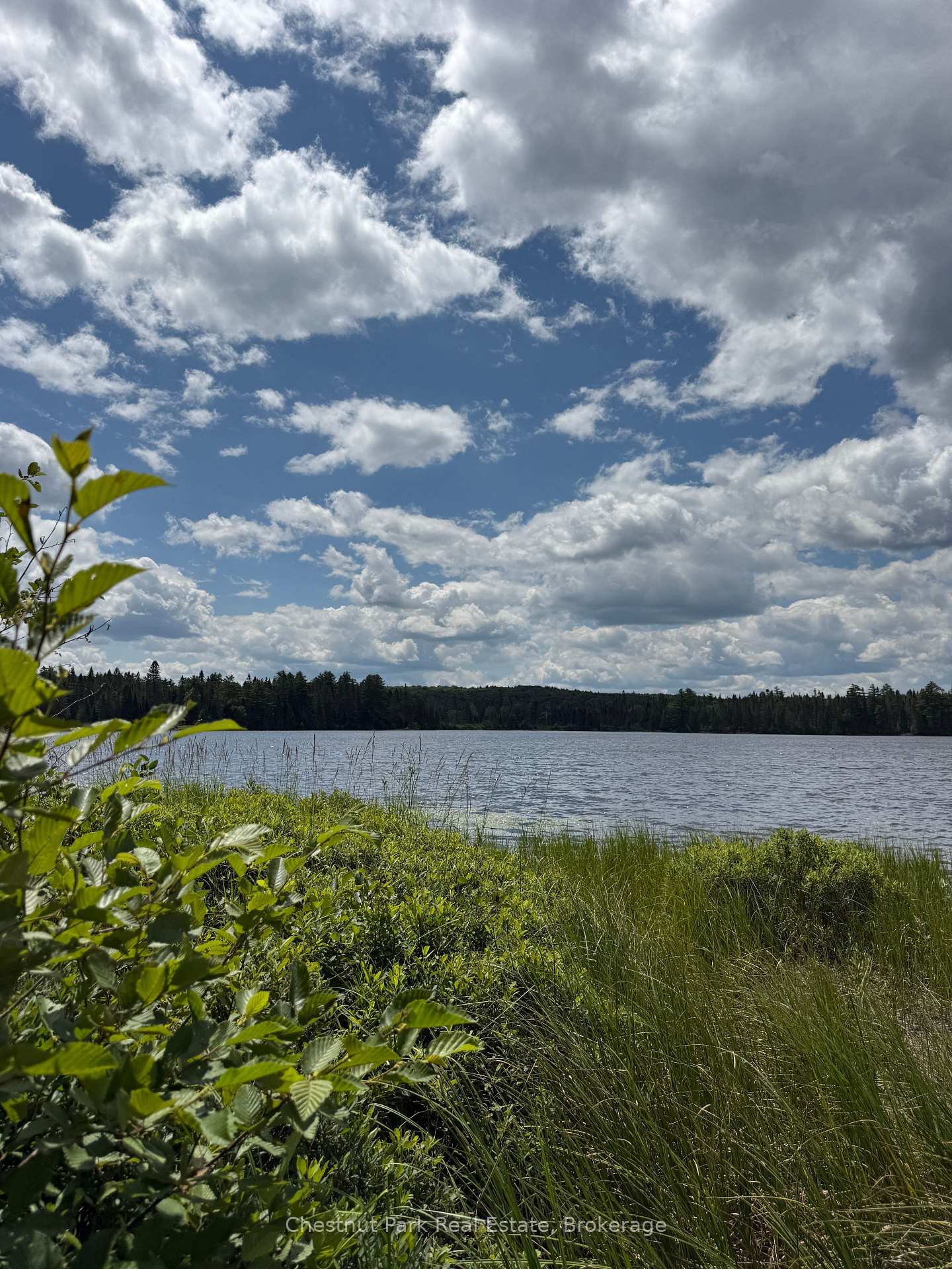 Photo 34 of 17 Whitefish Lake APL1582, Algonquin Highlands, Lawrence — HOMEH