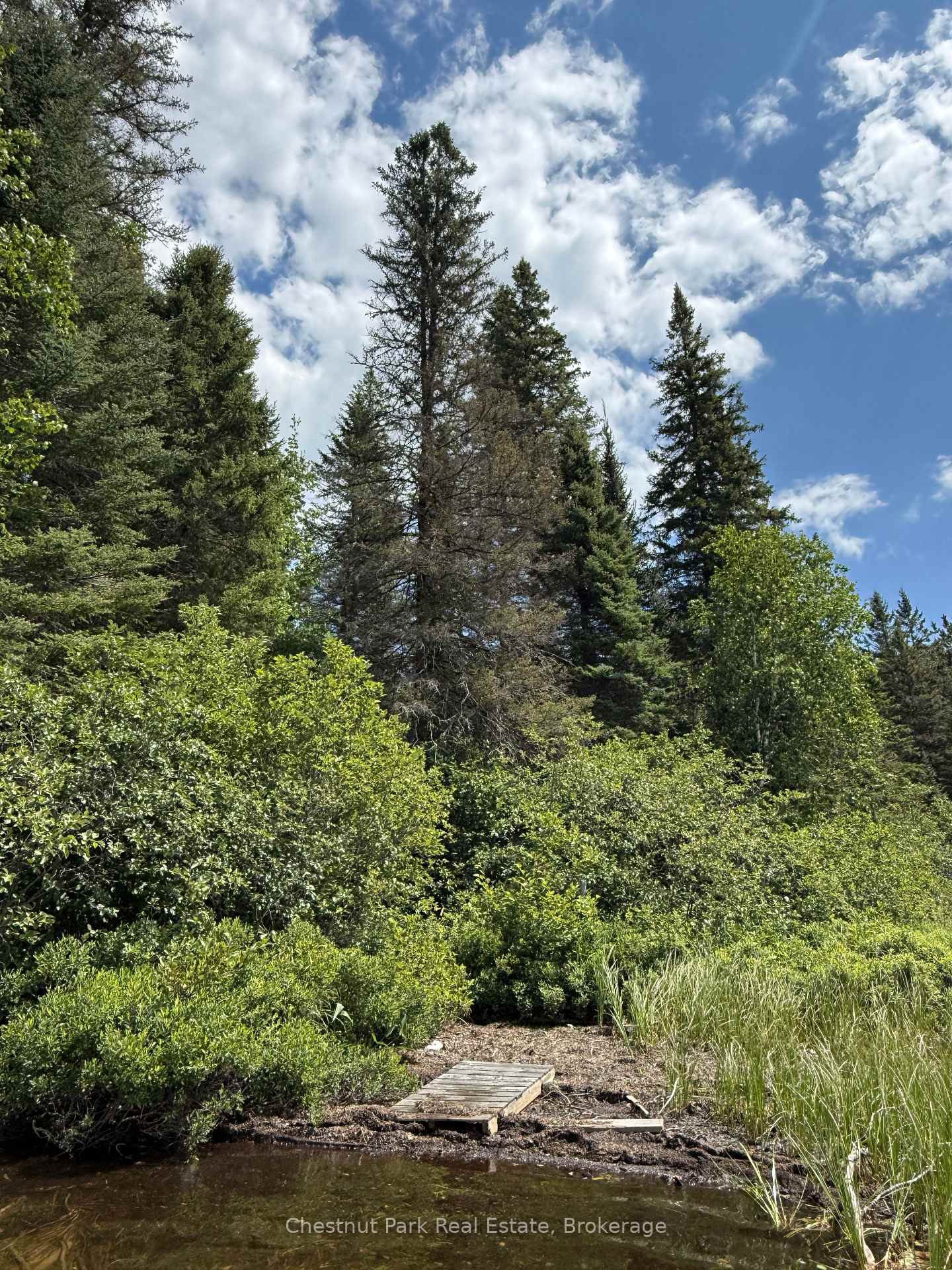 Photo 36 of 17 Whitefish Lake APL1582, Algonquin Highlands, Lawrence — HOMEH