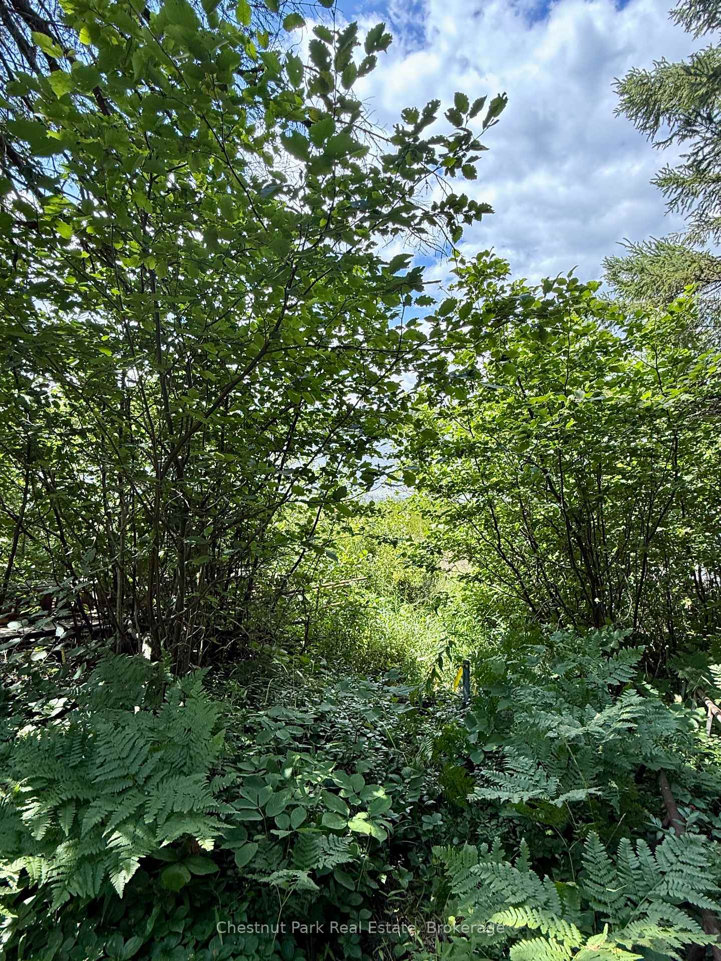 Photo 49 of 17 Whitefish Lake APL1582, Algonquin Highlands, Lawrence — HOMEH