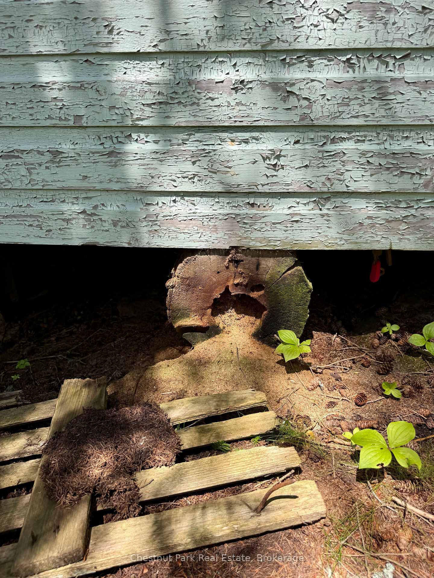 Photo 50 of 17 Whitefish Lake APL1582, Algonquin Highlands, Lawrence — HOMEH