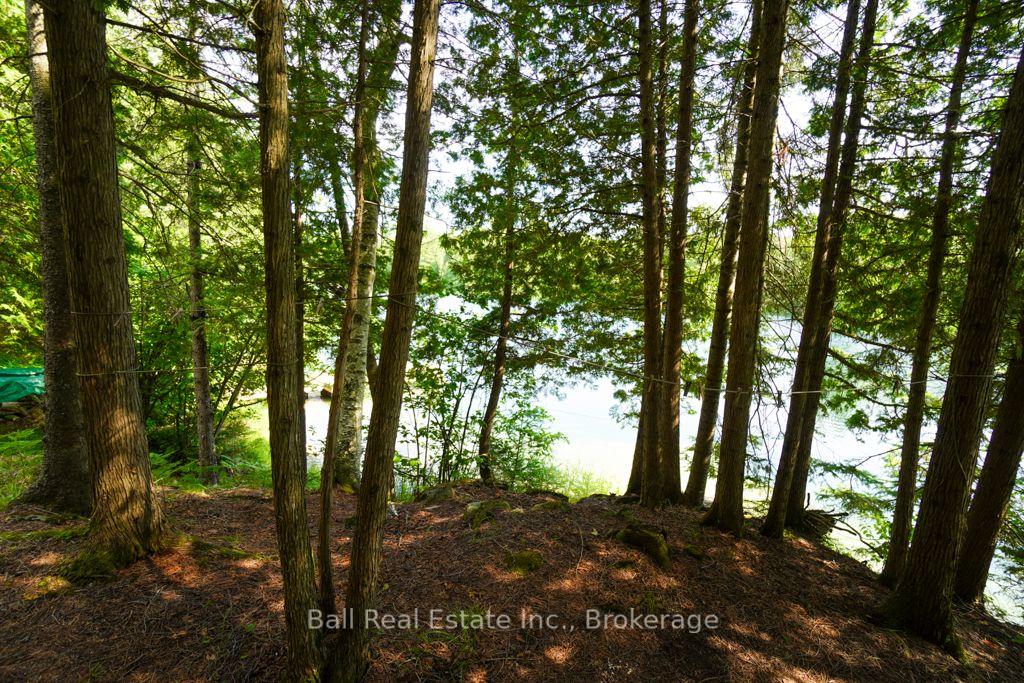 Photo 36 of 382 Old Detlor Road, Bancroft, Dungannon Ward — HOMEH