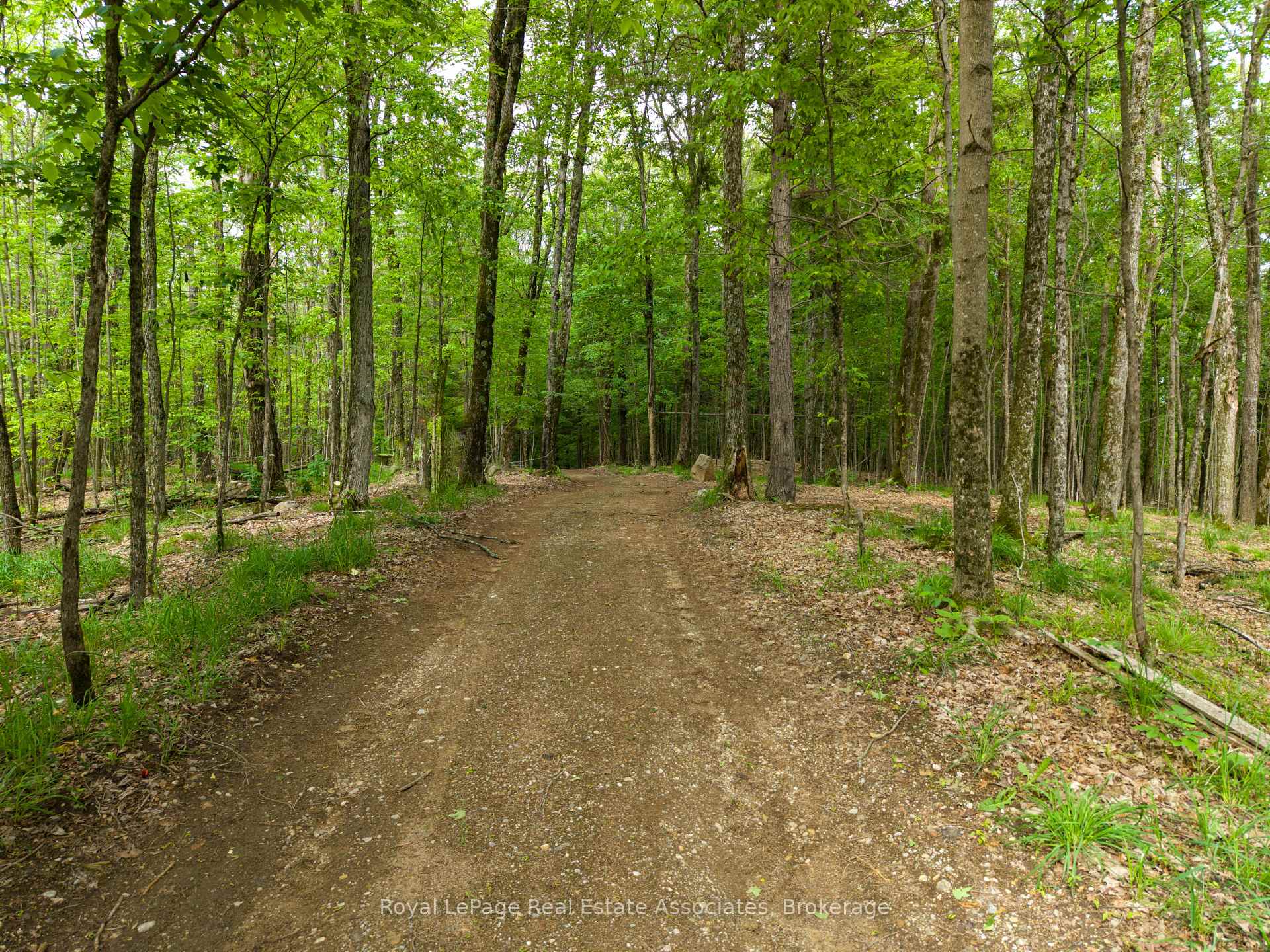 Photo 23 of 5301 620 Highway, Wollaston — HOMEH
