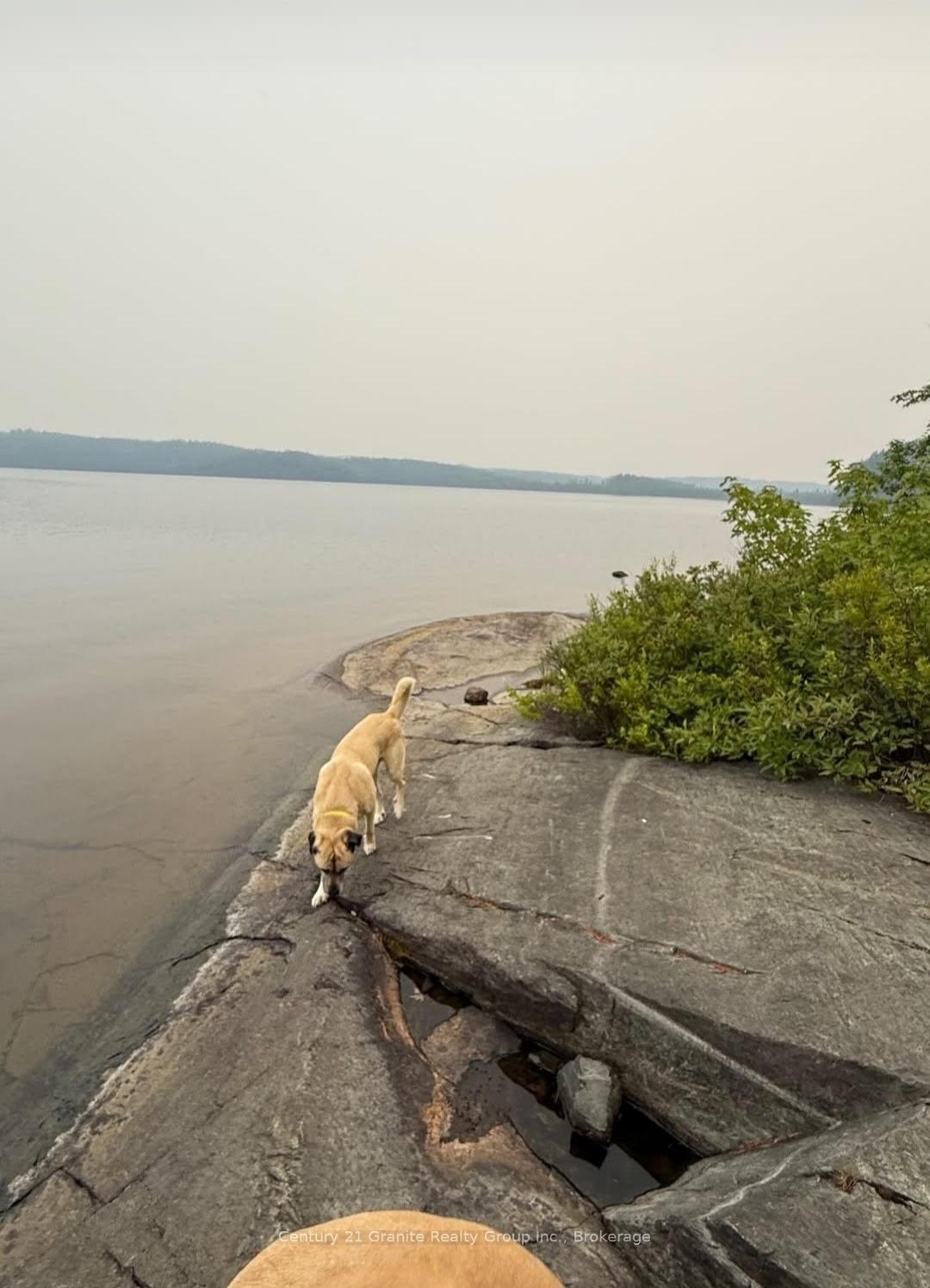 Photo 2 of Wawiagama Lake WAO, Temagami — HOMEH