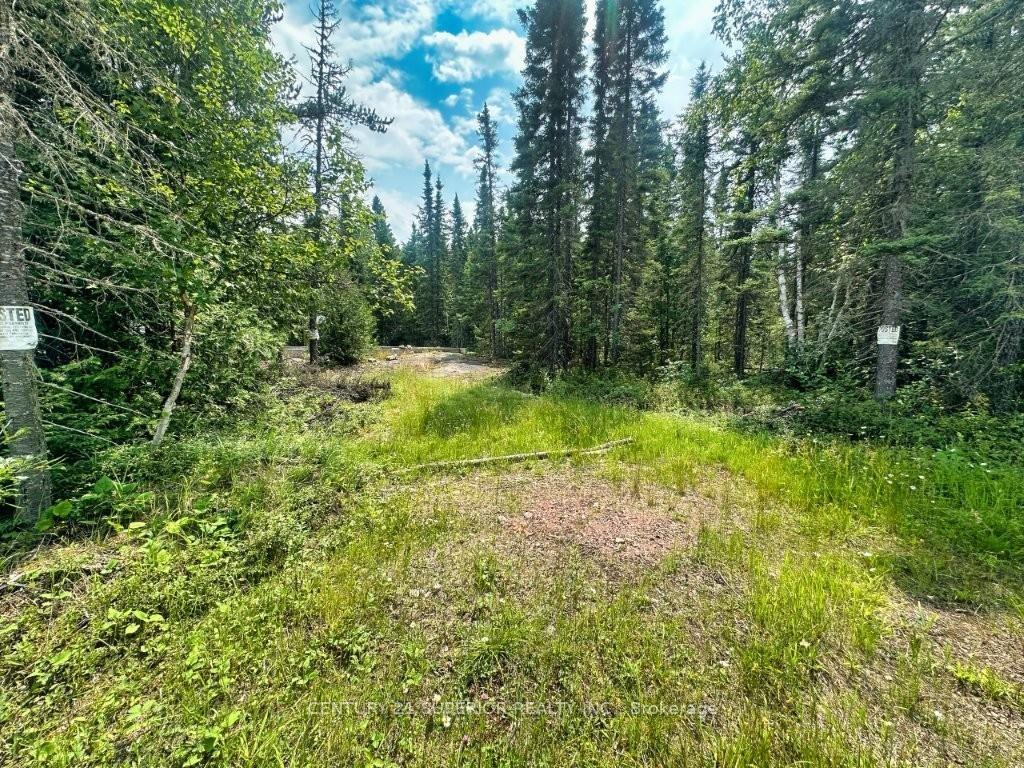 Photo 22 of PCL 9169 Cavern Road, Dorion, TB-59 — HOMEH