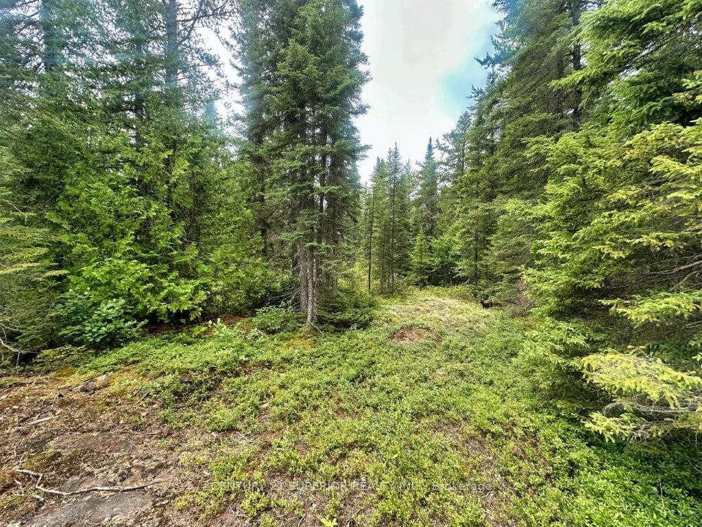 Photo 25 of PCL 9169 Cavern Road, Dorion, TB-59 — HOMEH