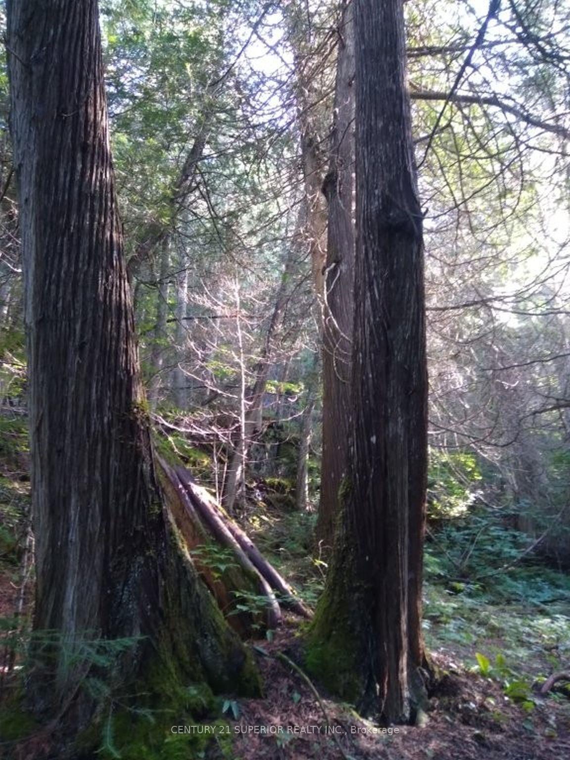 Photo 36 of PCL 9169 Cavern Road, Dorion, TB-59 — HOMEH