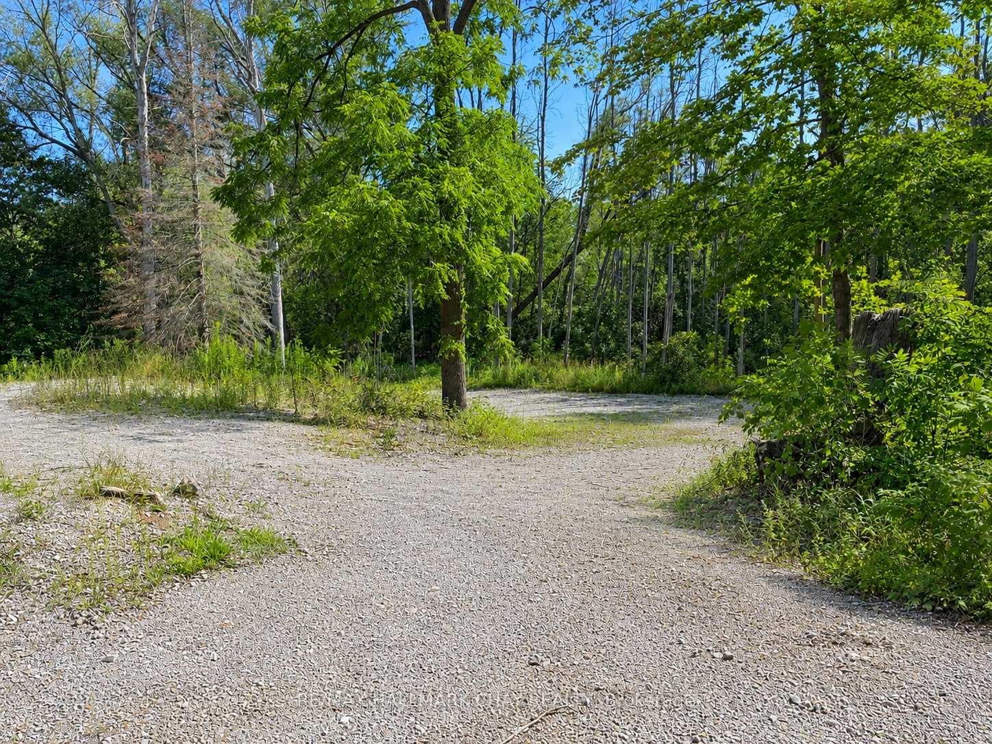 Photo 4 of 241 Mountain Avenue, Tay, Waubaushene — HOMEH