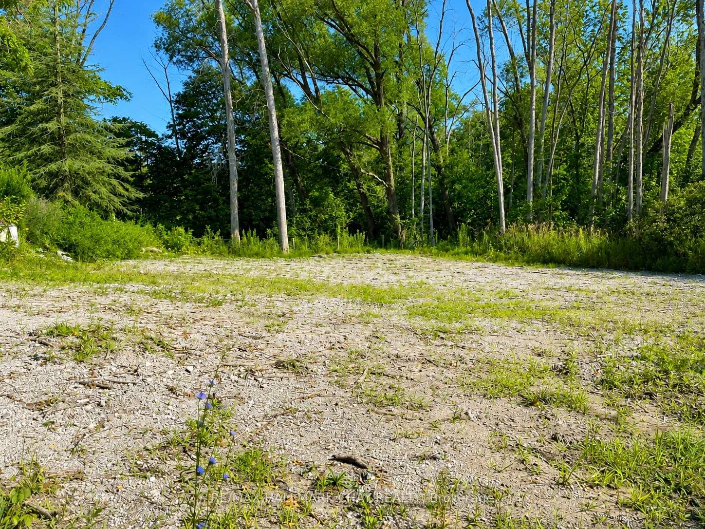 Photo 5 of 241 Mountain Avenue, Tay, Waubaushene — HOMEH