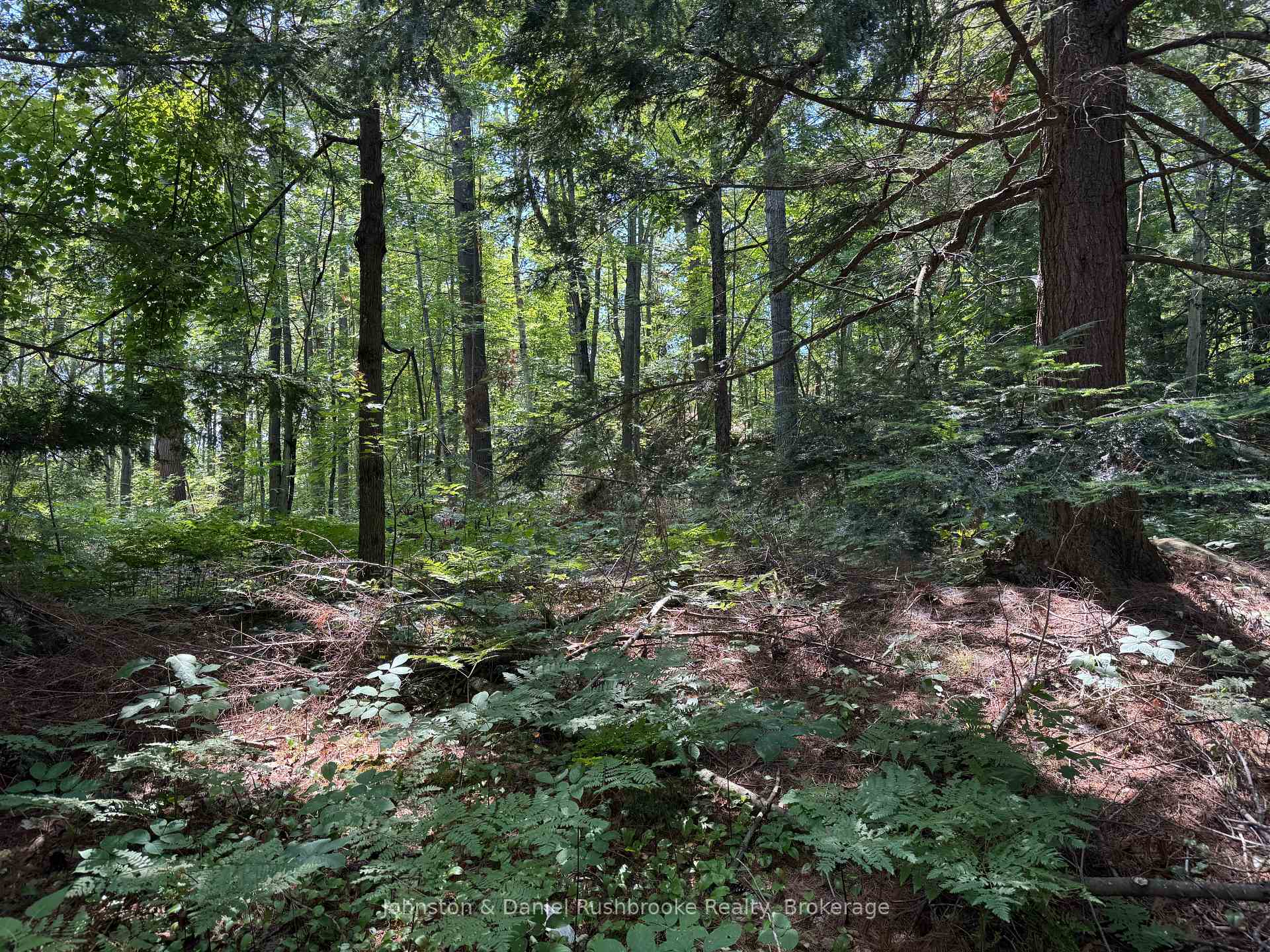 Photo 5 of 2 Island 24LM (Denison), Gravenhurst, Muskoka (S) — HOMEH