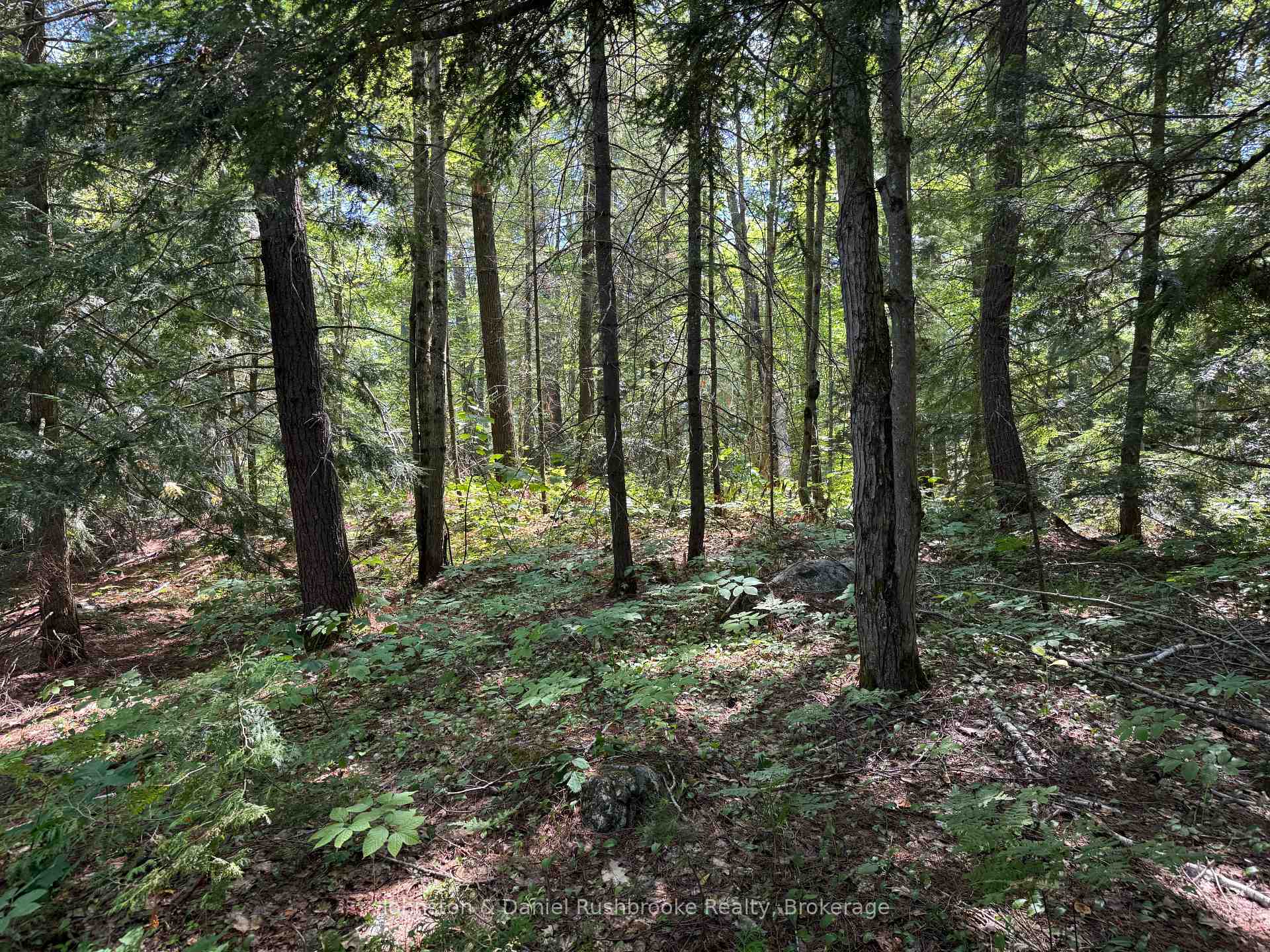 Photo 6 of 2 Island 24LM (Denison), Gravenhurst, Muskoka (S) — HOMEH