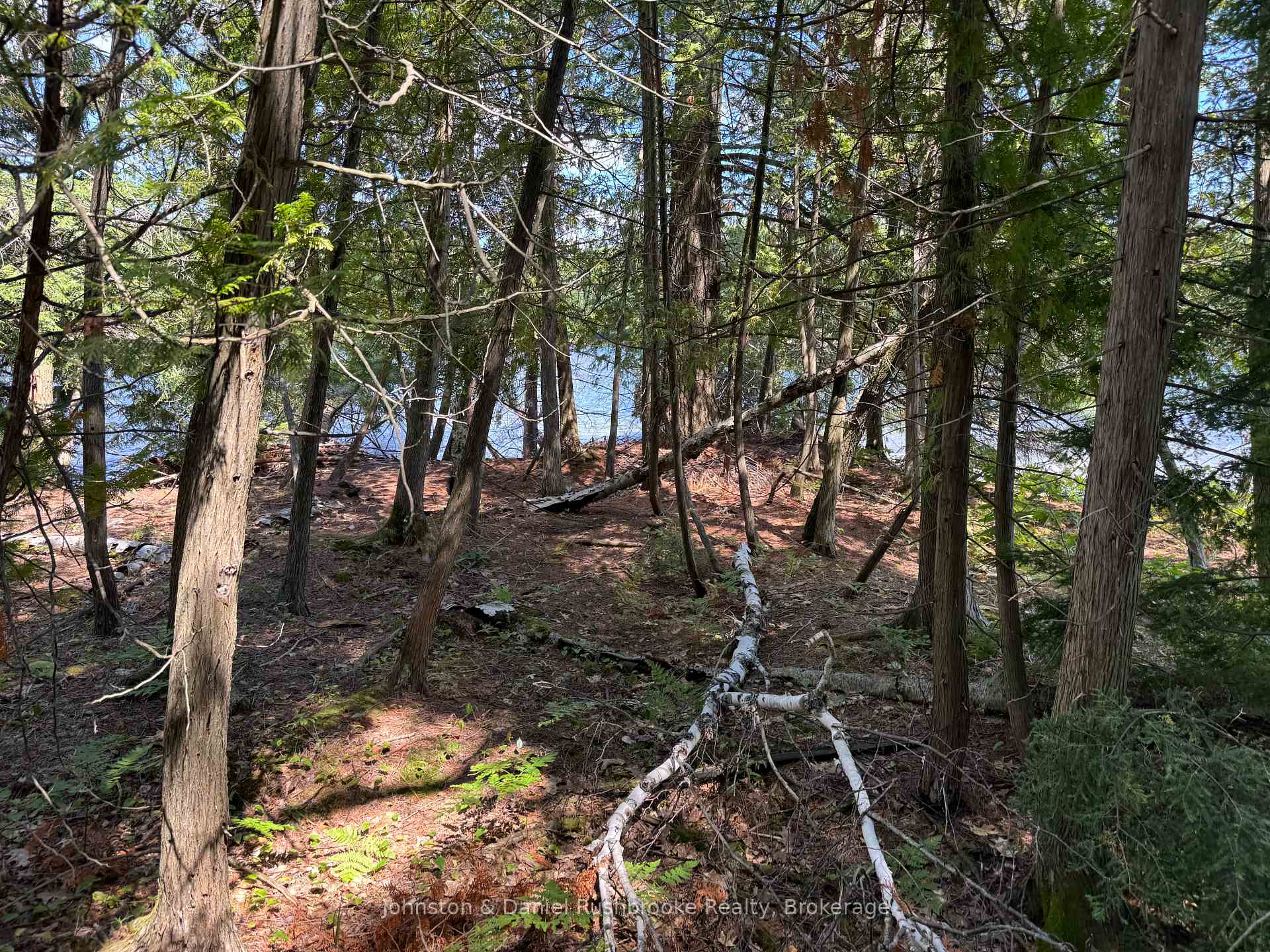 Photo 7 of 2 Island 24LM (Denison), Gravenhurst, Muskoka (S) — HOMEH