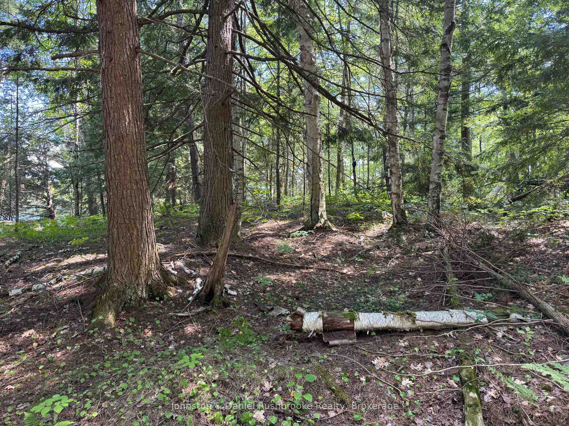 Photo 11 of 2 Island 24LM (Denison), Gravenhurst, Muskoka (S) — HOMEH