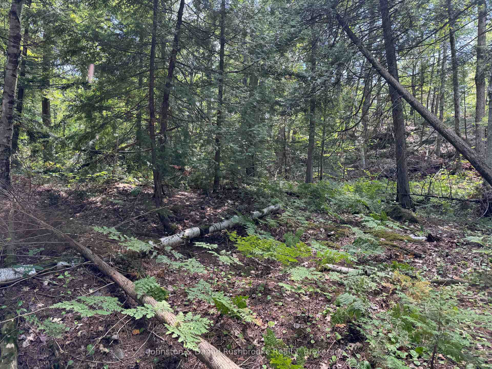 Photo 12 of 2 Island 24LM (Denison), Gravenhurst, Muskoka (S) — HOMEH