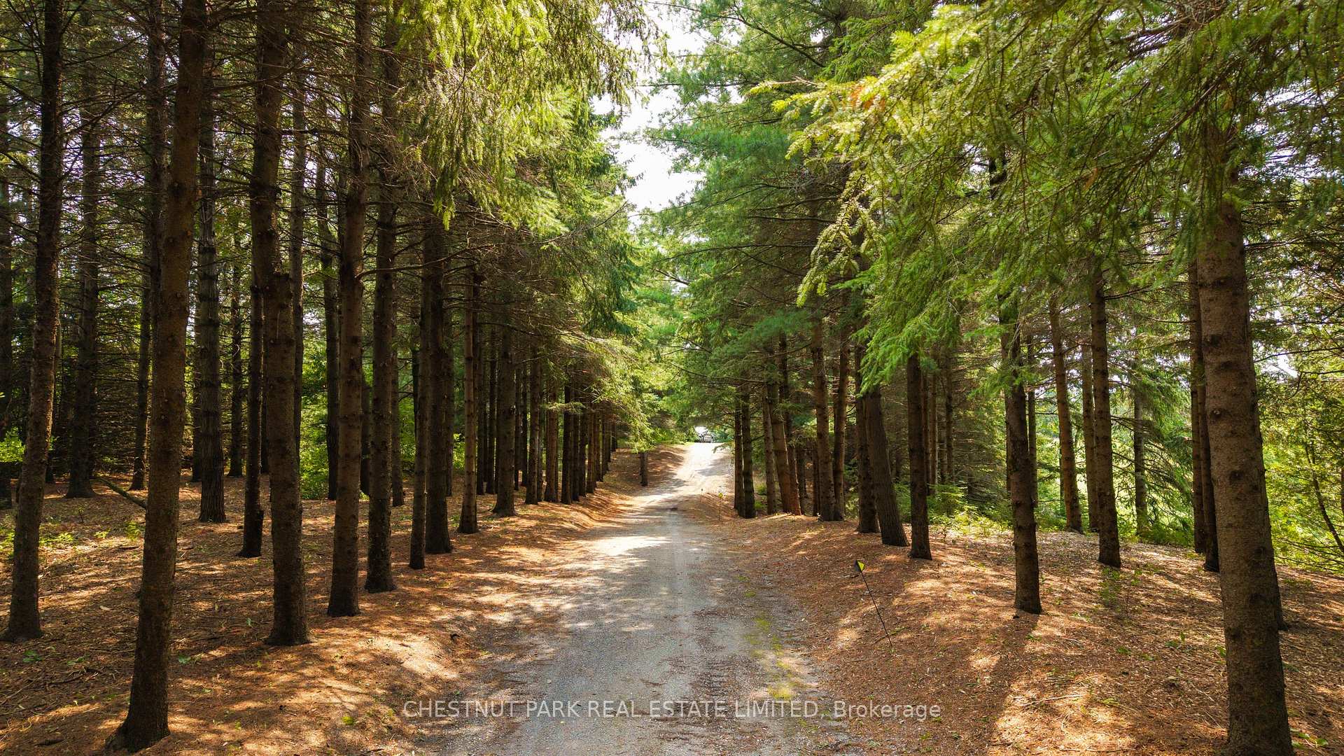 Photo 65 of 286364 10th Side Road, Mono, Rural Mono — HOMEH